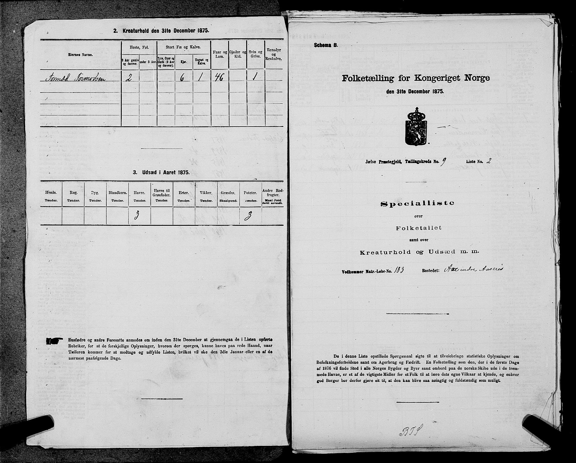 SAST, Folketelling 1875 for 1138P Jelsa prestegjeld, 1875, s. 813