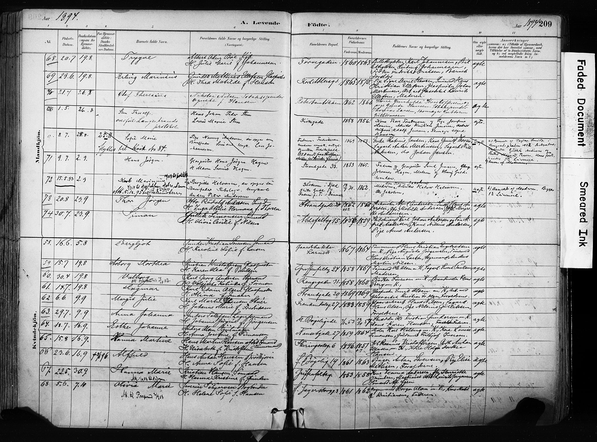 Larvik kirkebøker, AV/SAKO-A-352/F/Fa/L0009: Ministerialbok nr. I 9, 1884-1904, s. 209