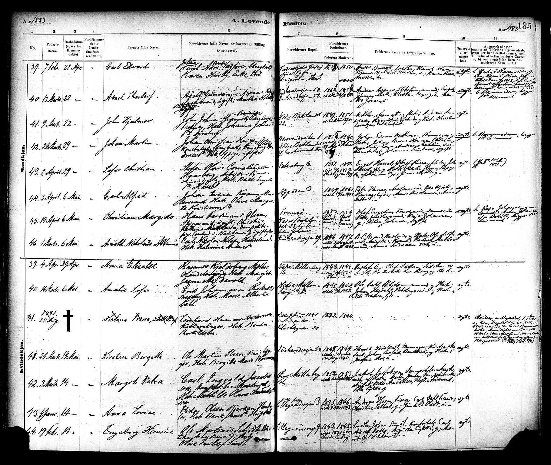 Ministerialprotokoller, klokkerbøker og fødselsregistre - Sør-Trøndelag, AV/SAT-A-1456/604/L0188: Ministerialbok nr. 604A09, 1878-1892, s. 135