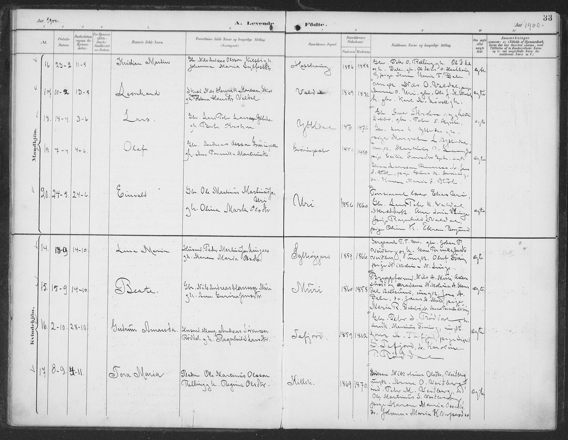 Ministerialprotokoller, klokkerbøker og fødselsregistre - Møre og Romsdal, AV/SAT-A-1454/519/L0256: Ministerialbok nr. 519A15, 1895-1912, s. 33