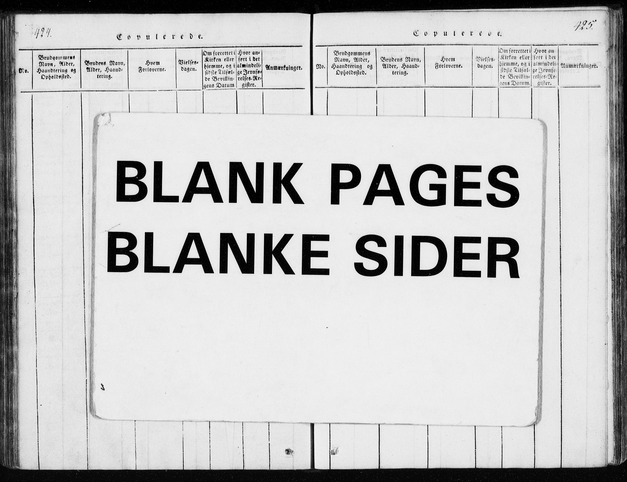 Ministerialprotokoller, klokkerbøker og fødselsregistre - Møre og Romsdal, AV/SAT-A-1454/551/L0623: Ministerialbok nr. 551A03, 1818-1831, s. 424-425