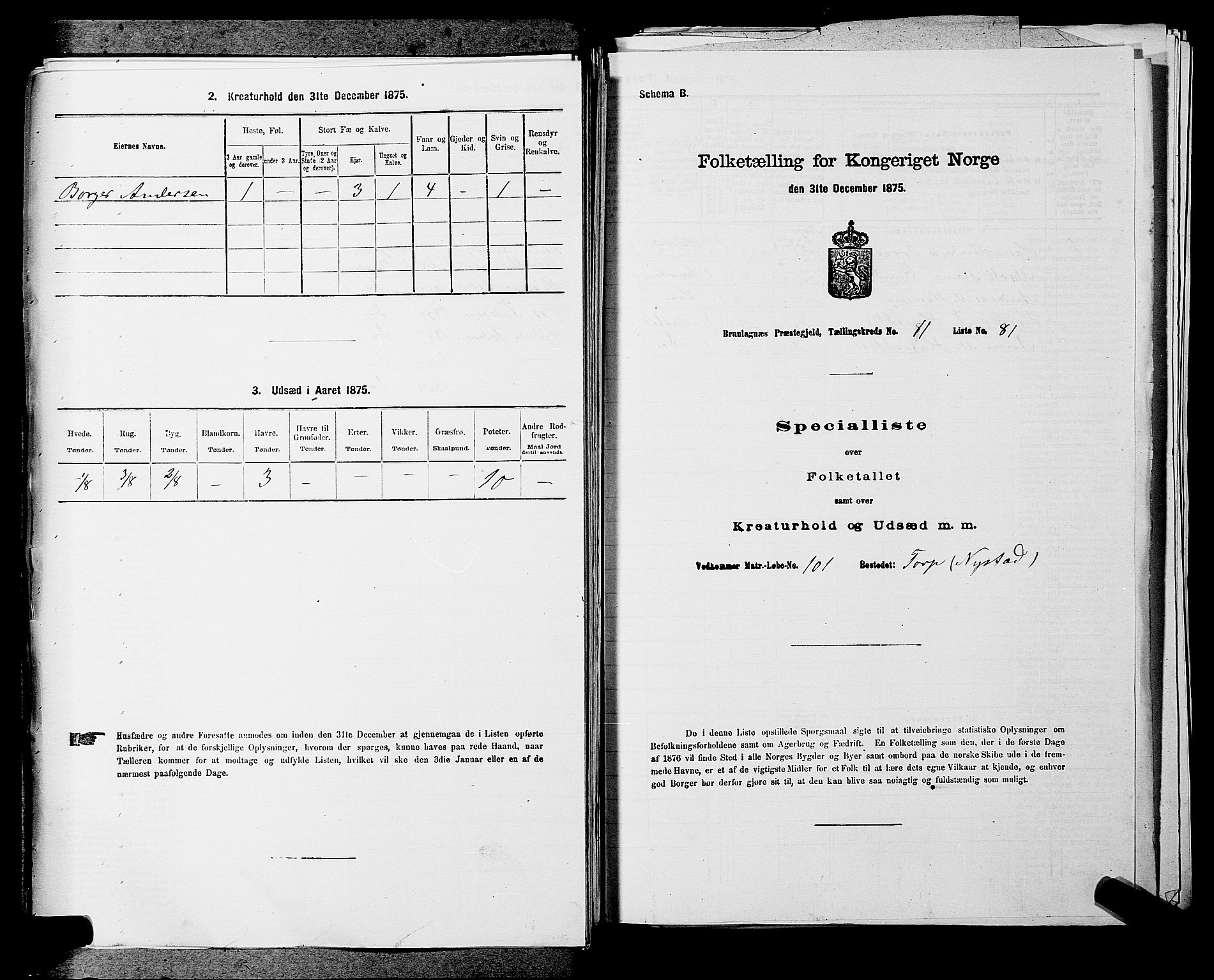 SAKO, Folketelling 1875 for 0726P Brunlanes prestegjeld, 1875, s. 1553