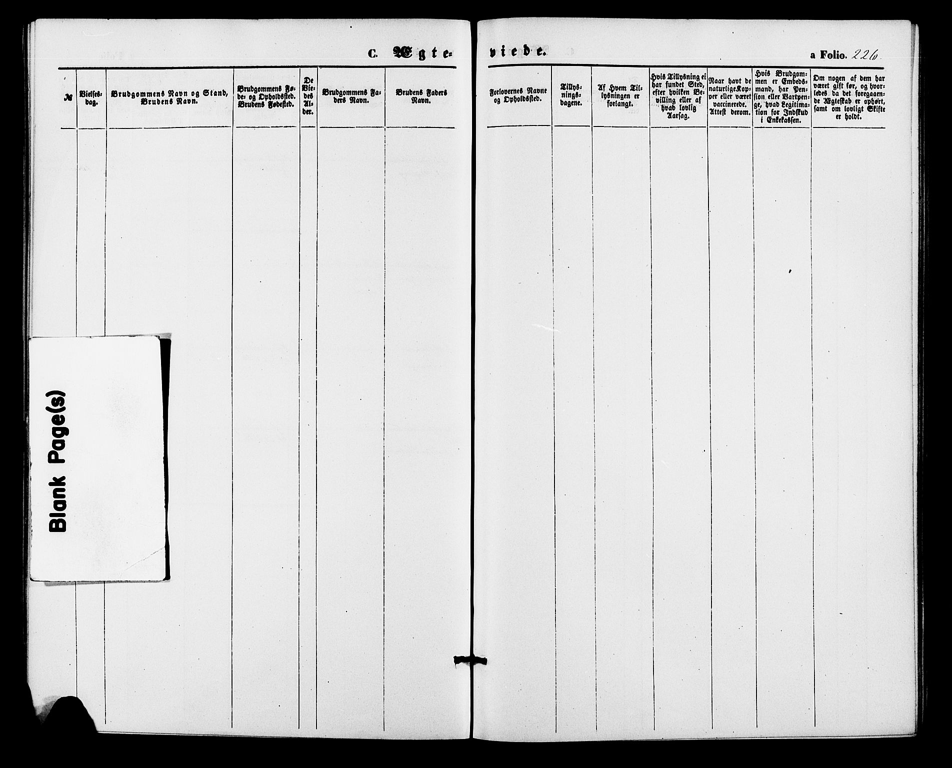 Bjelland sokneprestkontor, AV/SAK-1111-0005/F/Fa/Fab/L0003: Ministerialbok nr. A 3, 1870-1887, s. 226