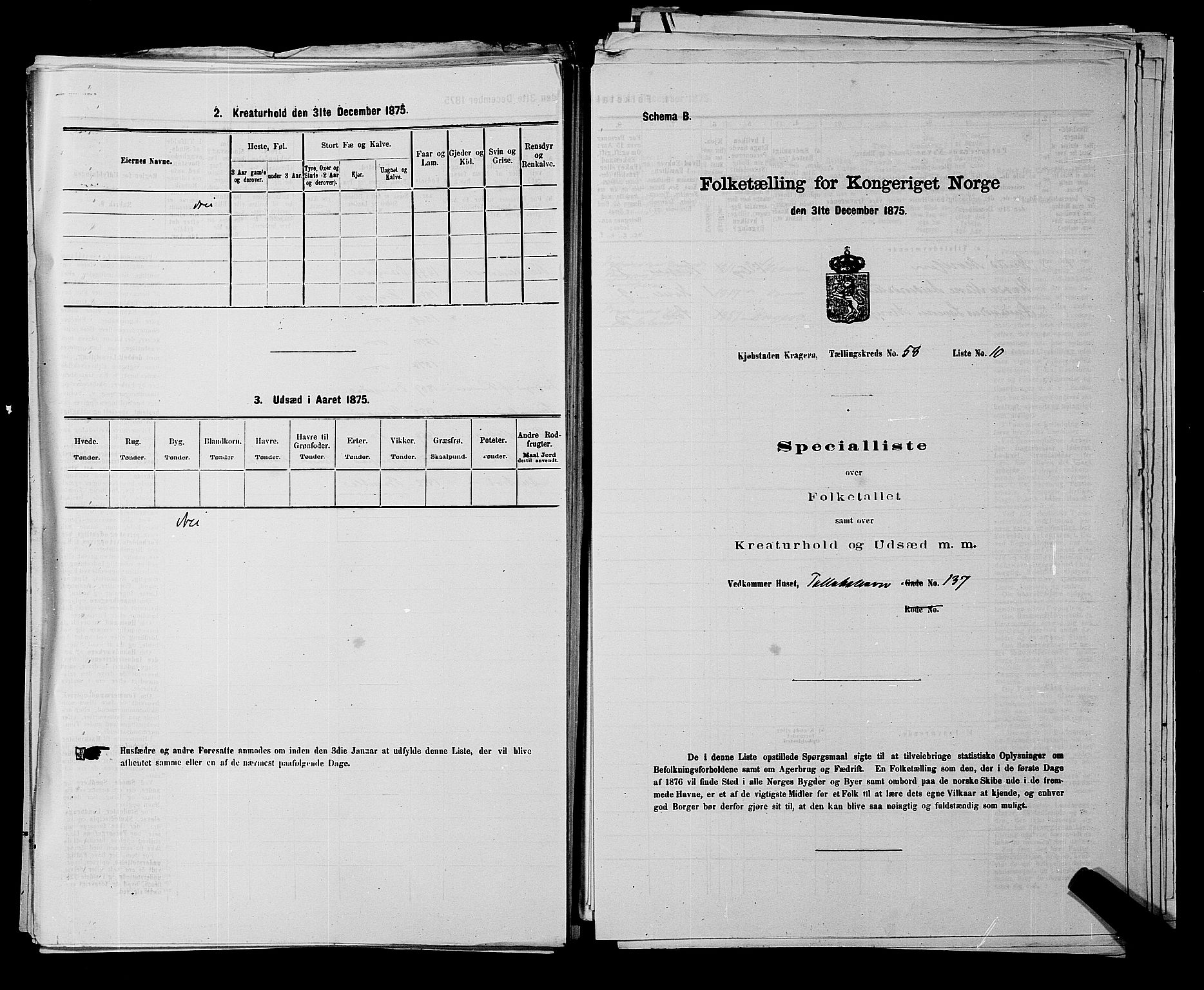 SAKO, Folketelling 1875 for 0801P Kragerø prestegjeld, 1875, s. 1305