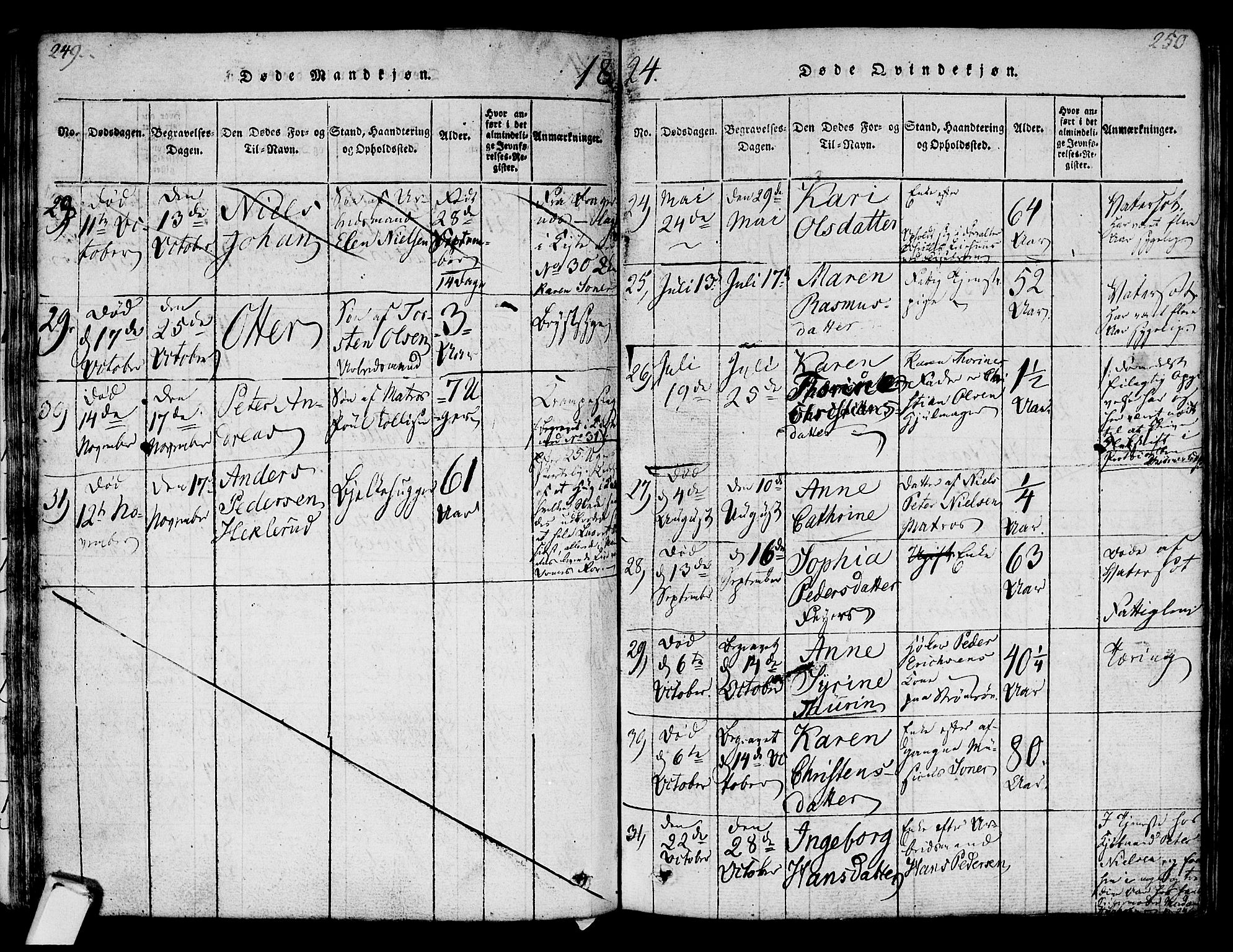 Strømsø kirkebøker, AV/SAKO-A-246/F/Fa/L0011: Ministerialbok nr. I 11, 1815-1829, s. 249-250