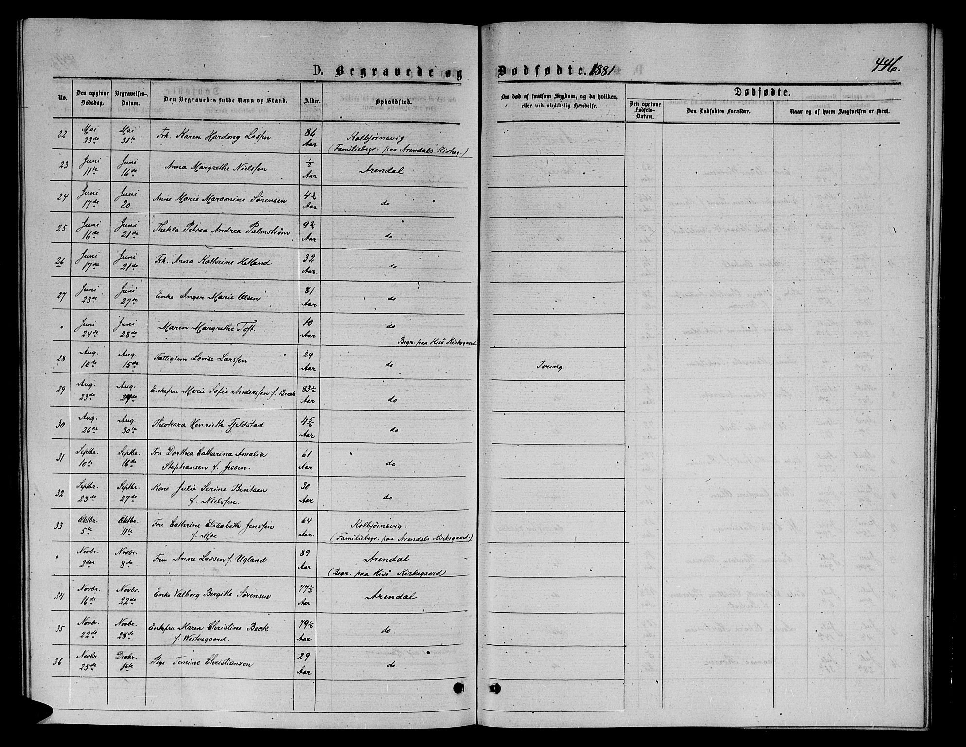 Arendal sokneprestkontor, Trefoldighet, AV/SAK-1111-0040/F/Fb/L0005: Klokkerbok nr. B 5, 1874-1888, s. 446