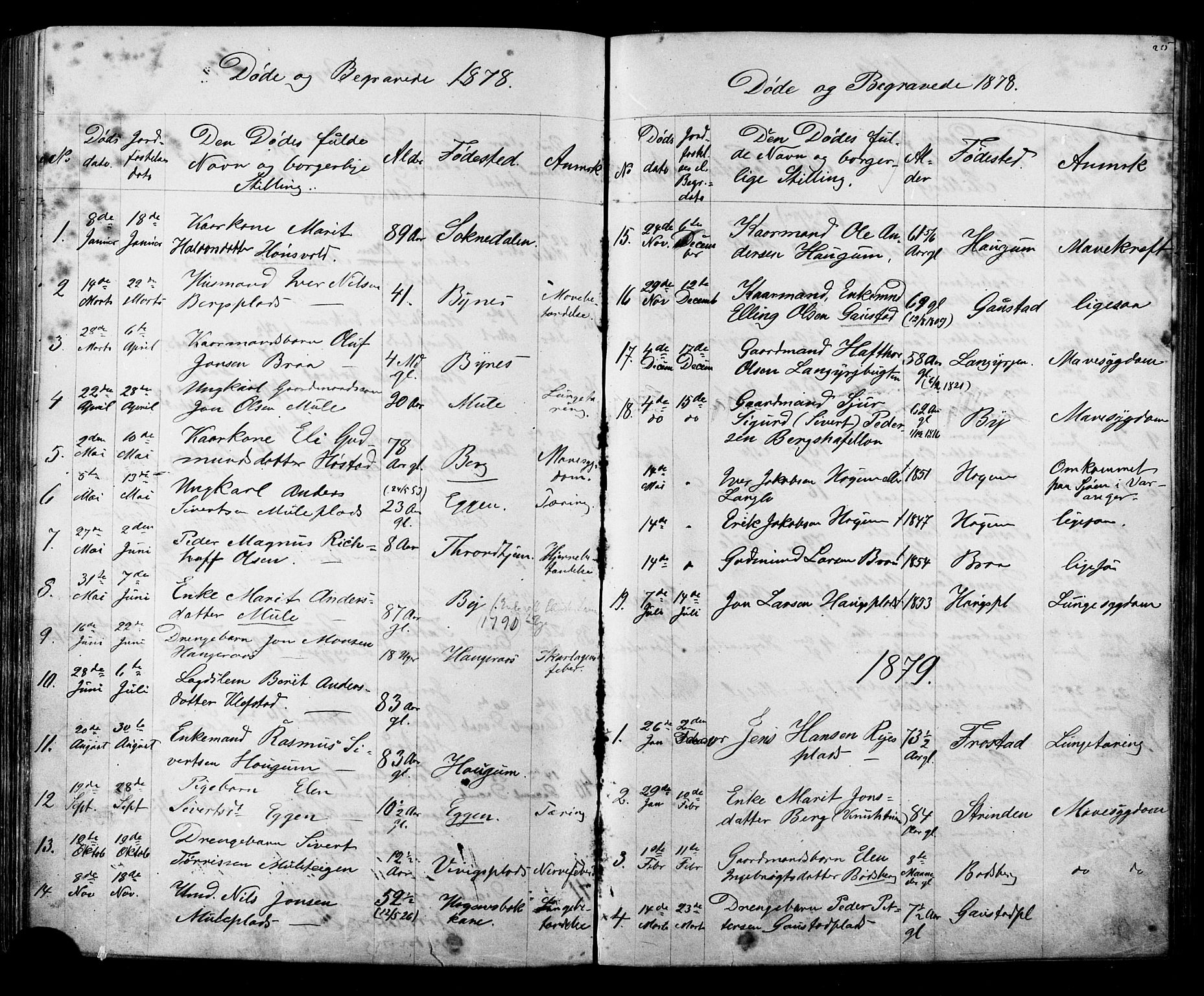 Ministerialprotokoller, klokkerbøker og fødselsregistre - Sør-Trøndelag, AV/SAT-A-1456/612/L0387: Klokkerbok nr. 612C03, 1874-1908, s. 215