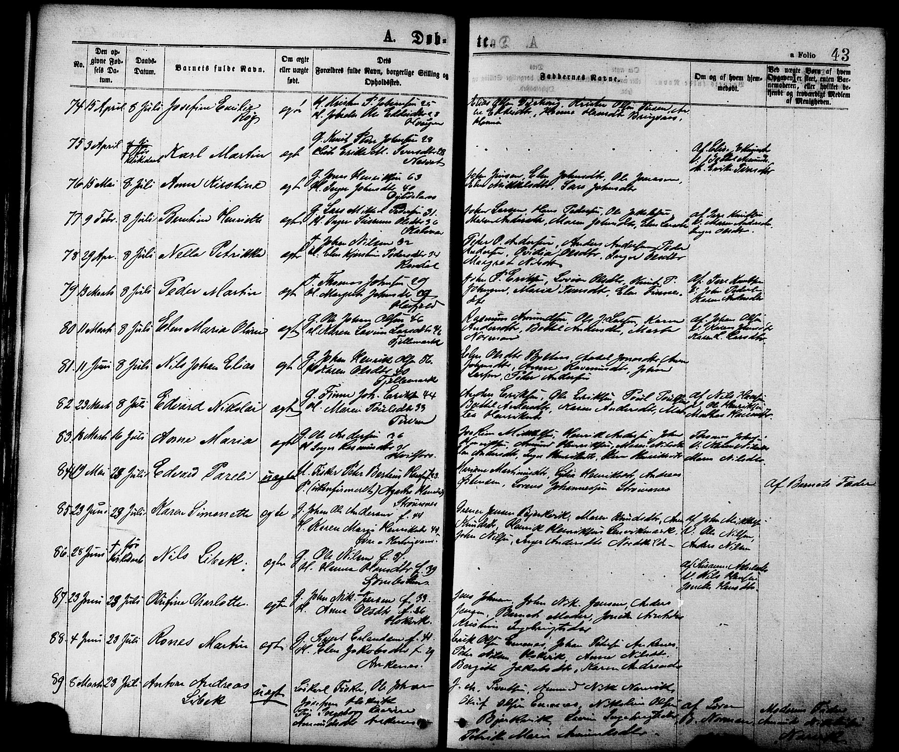 Ministerialprotokoller, klokkerbøker og fødselsregistre - Nordland, AV/SAT-A-1459/863/L0897: Ministerialbok nr. 863A09, 1872-1886, s. 43