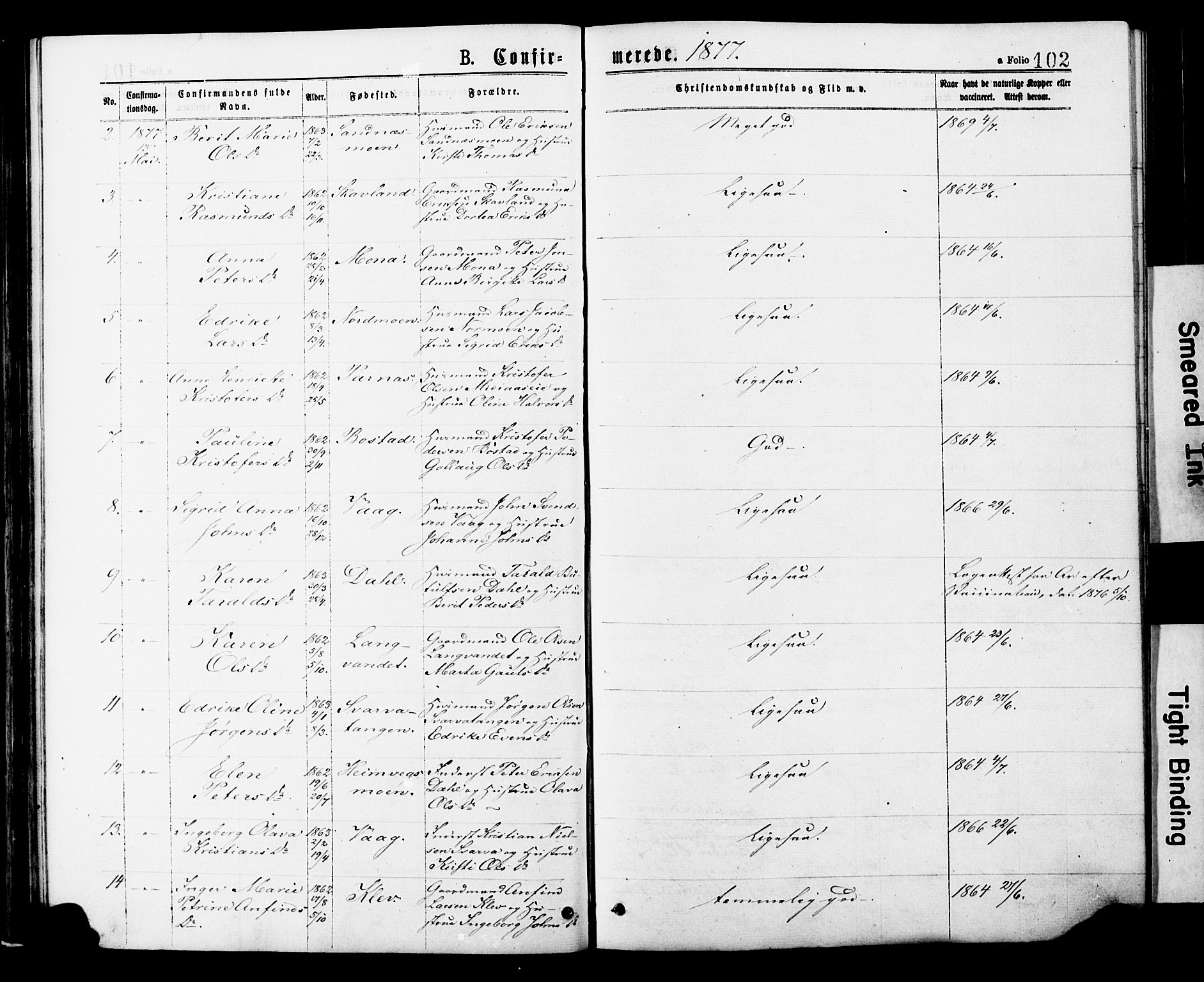 Ministerialprotokoller, klokkerbøker og fødselsregistre - Nord-Trøndelag, SAT/A-1458/749/L0473: Ministerialbok nr. 749A07, 1873-1887, s. 102