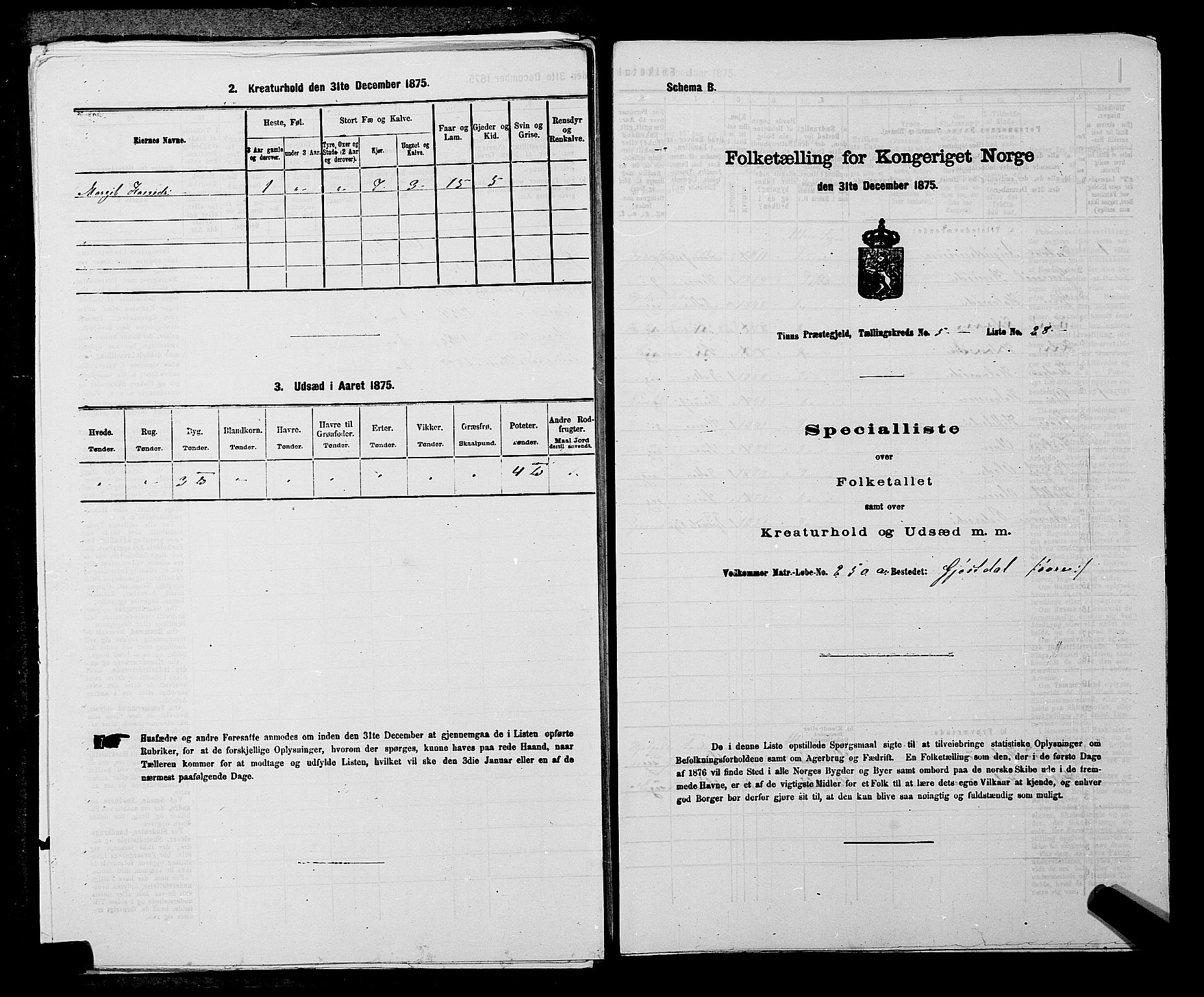 SAKO, Folketelling 1875 for 0826P Tinn prestegjeld, 1875, s. 738