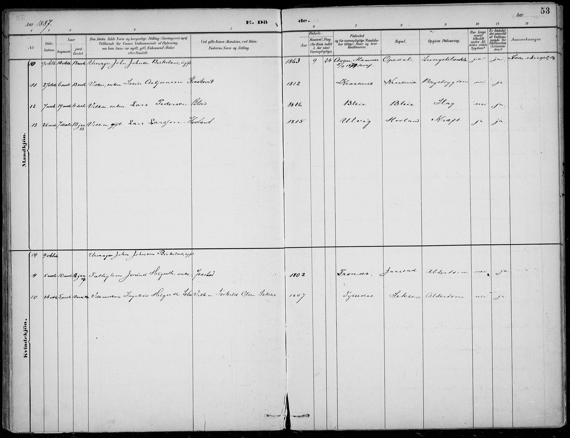 Ullensvang sokneprestembete, AV/SAB-A-78701/H/Haa: Ministerialbok nr. B  3, 1882-1911, s. 53