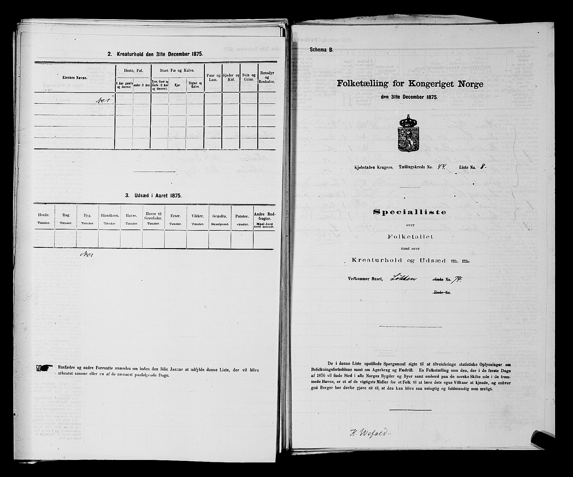 SAKO, Folketelling 1875 for 0801P Kragerø prestegjeld, 1875, s. 978