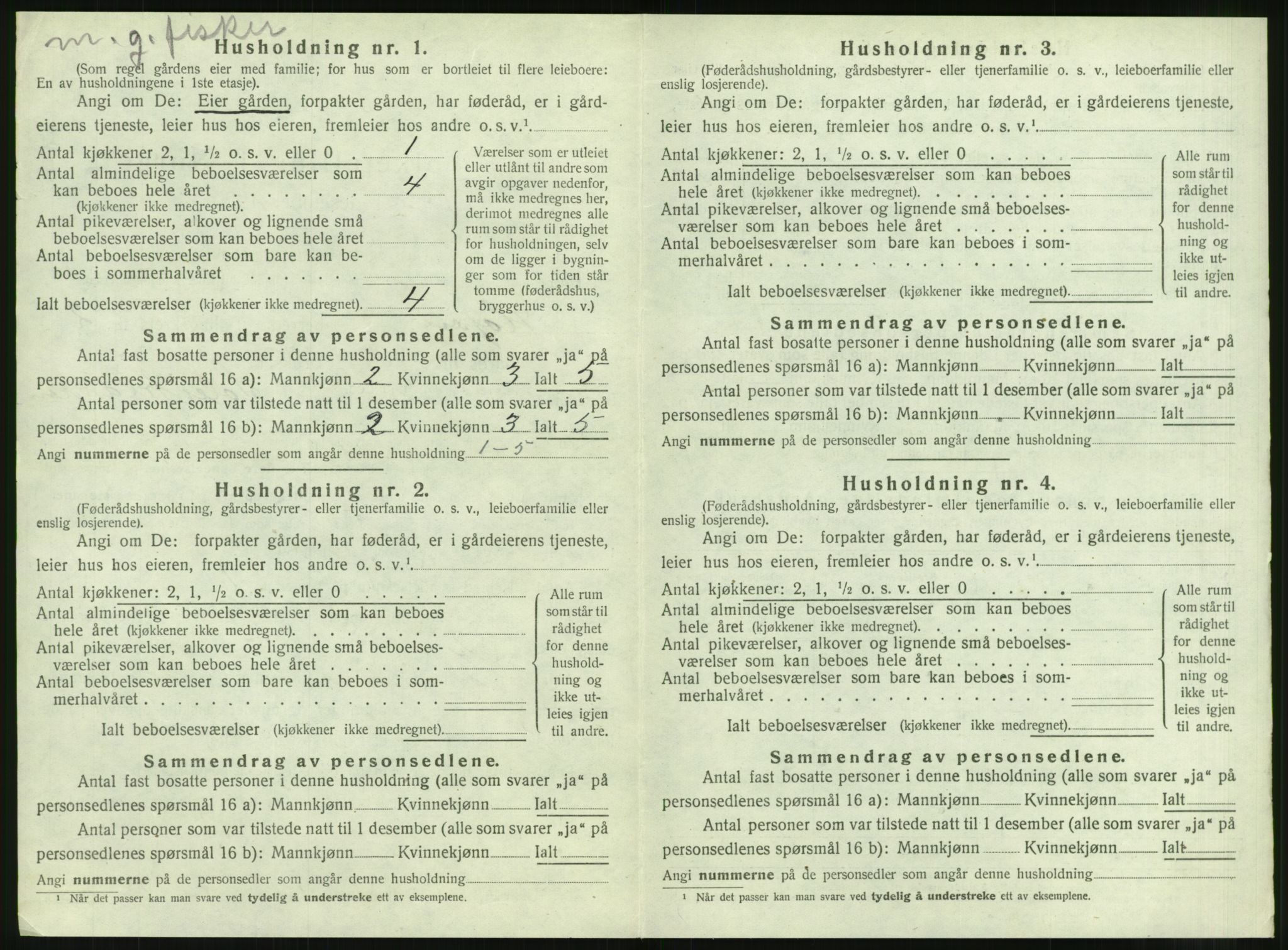 SAT, Folketelling 1920 for 1575 Hopen herred, 1920, s. 161