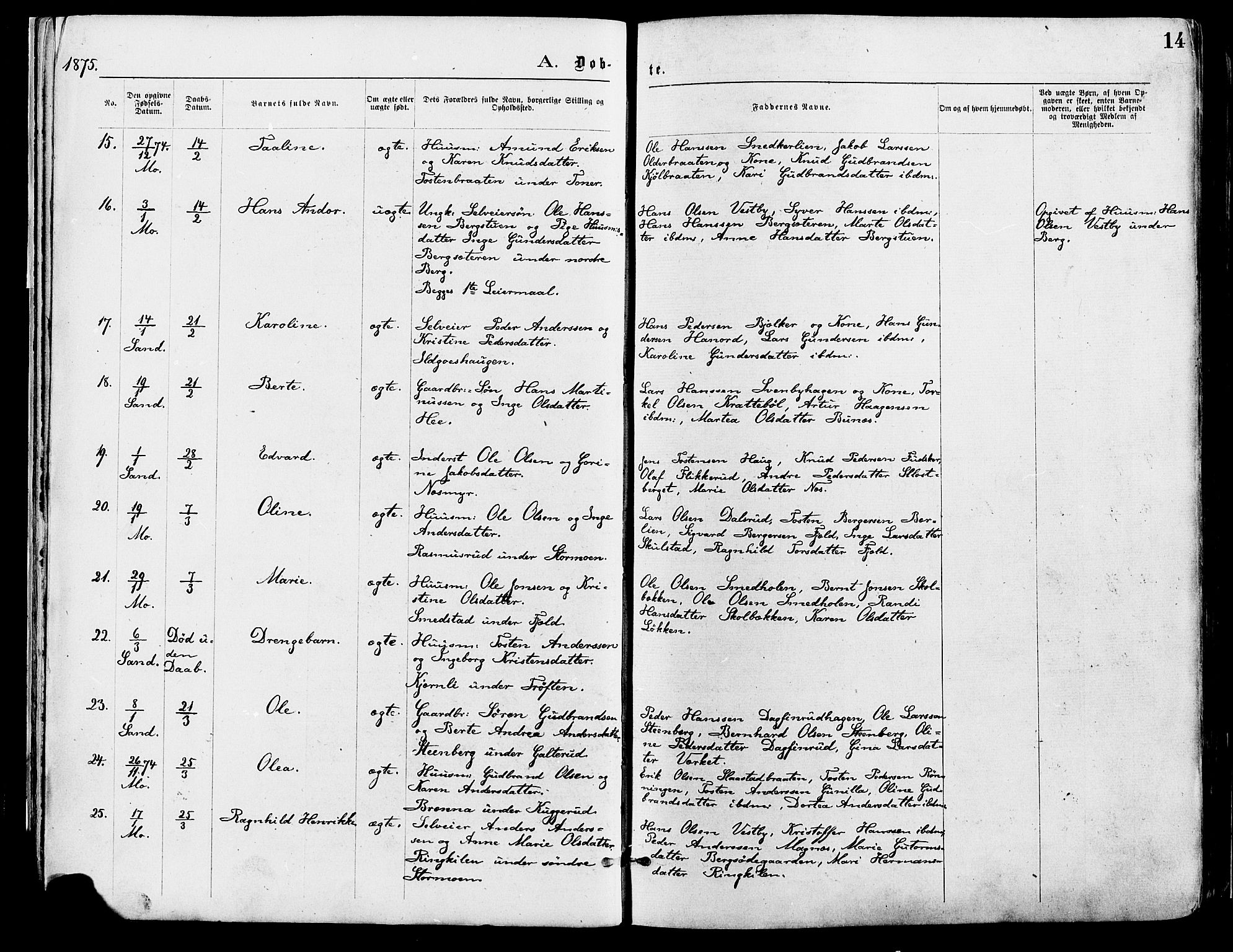 Nord-Odal prestekontor, AV/SAH-PREST-032/H/Ha/Haa/L0005: Ministerialbok nr. 5, 1874-1885, s. 14