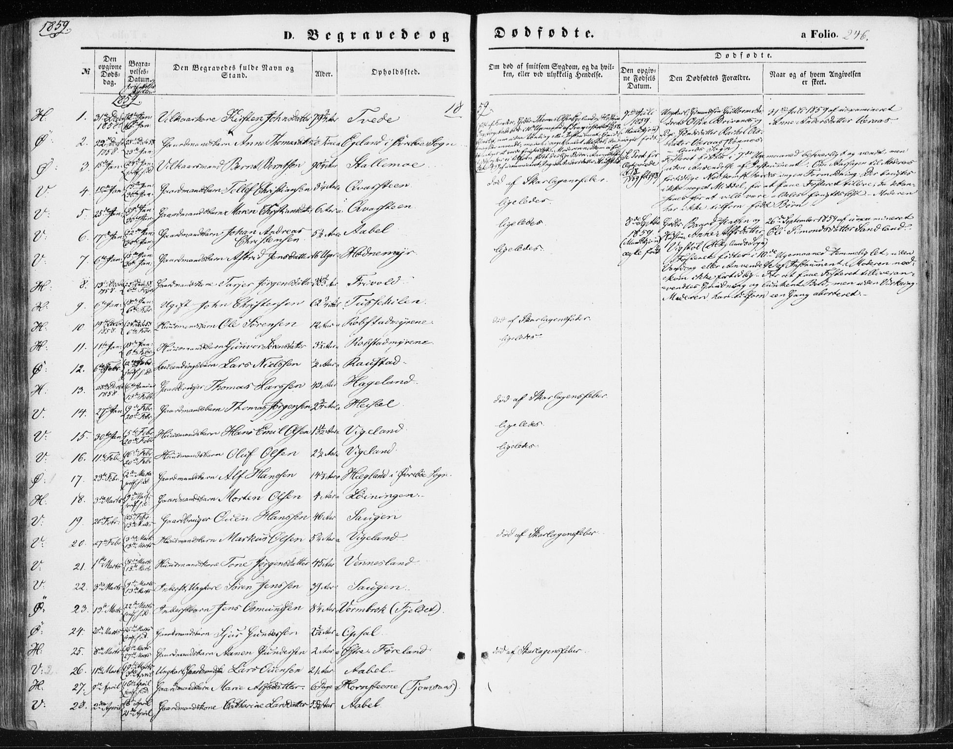 Vennesla sokneprestkontor, AV/SAK-1111-0045/Fa/Fac/L0007: Ministerialbok nr. A 7, 1855-1873, s. 246