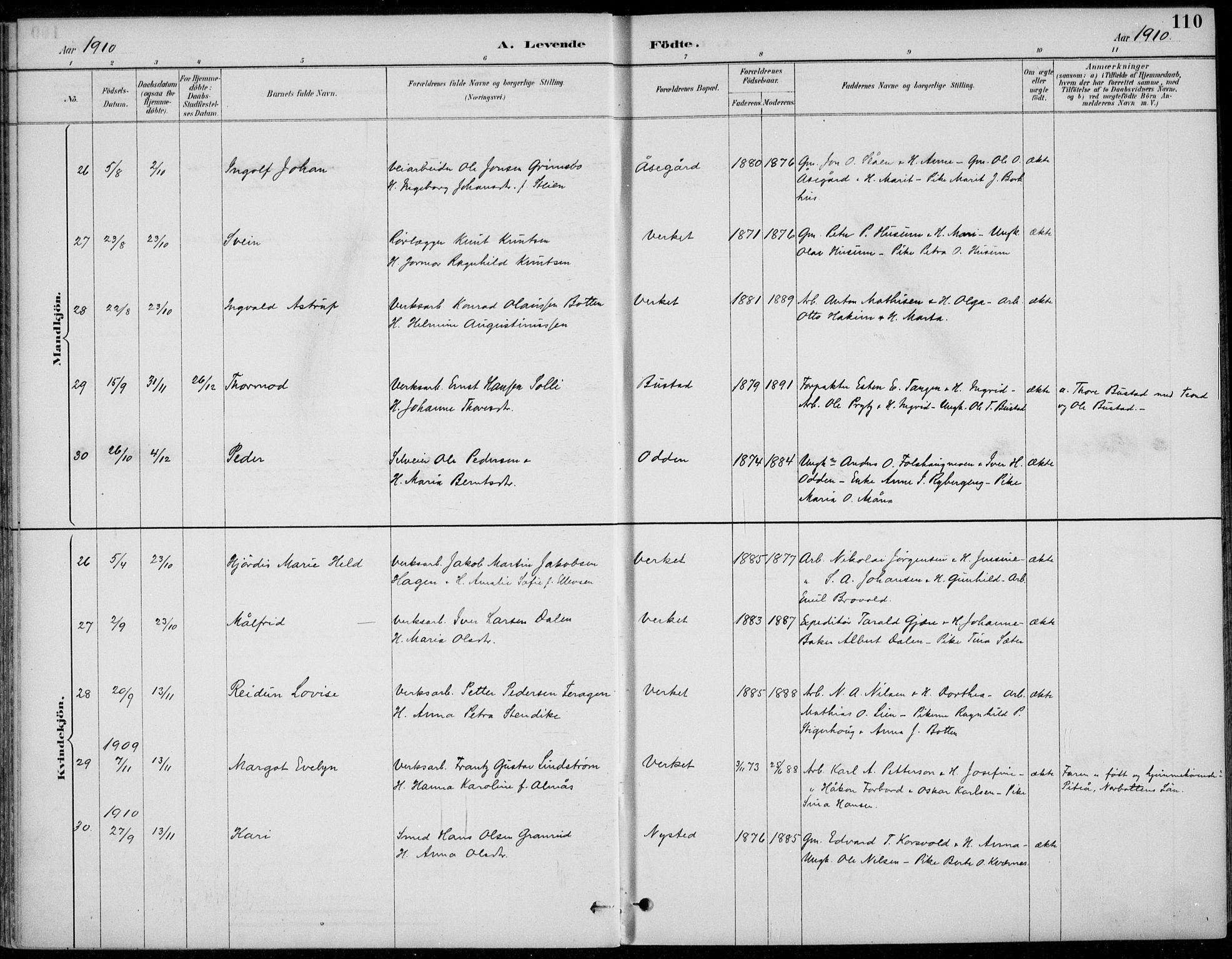 Alvdal prestekontor, AV/SAH-PREST-060/H/Ha/Haa/L0003: Ministerialbok nr. 3, 1886-1912, s. 110