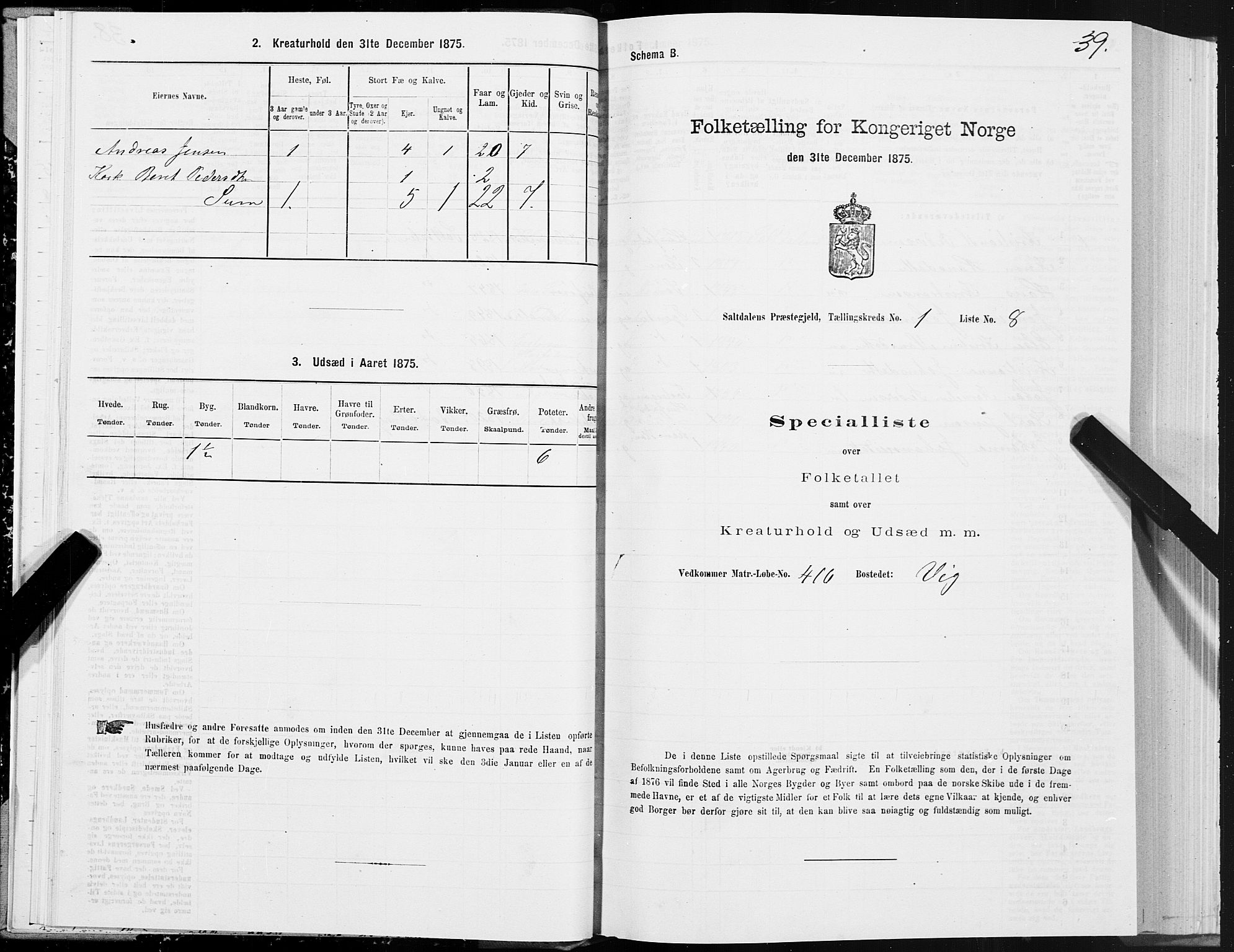 SAT, Folketelling 1875 for 1840P Saltdal prestegjeld, 1875, s. 1039