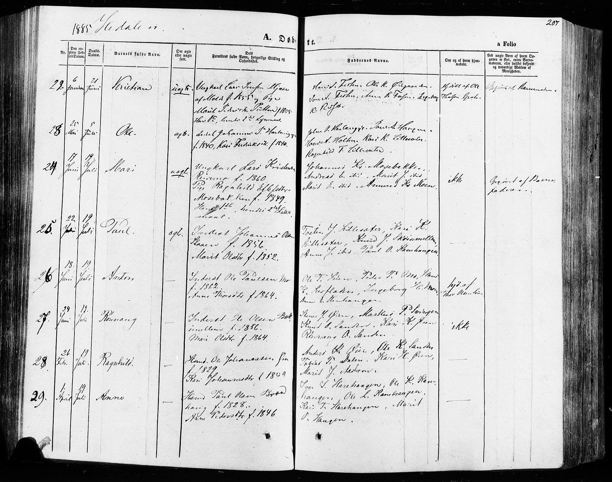 Vågå prestekontor, AV/SAH-PREST-076/H/Ha/Haa/L0007: Ministerialbok nr. 7 /2, 1873-1886, s. 207