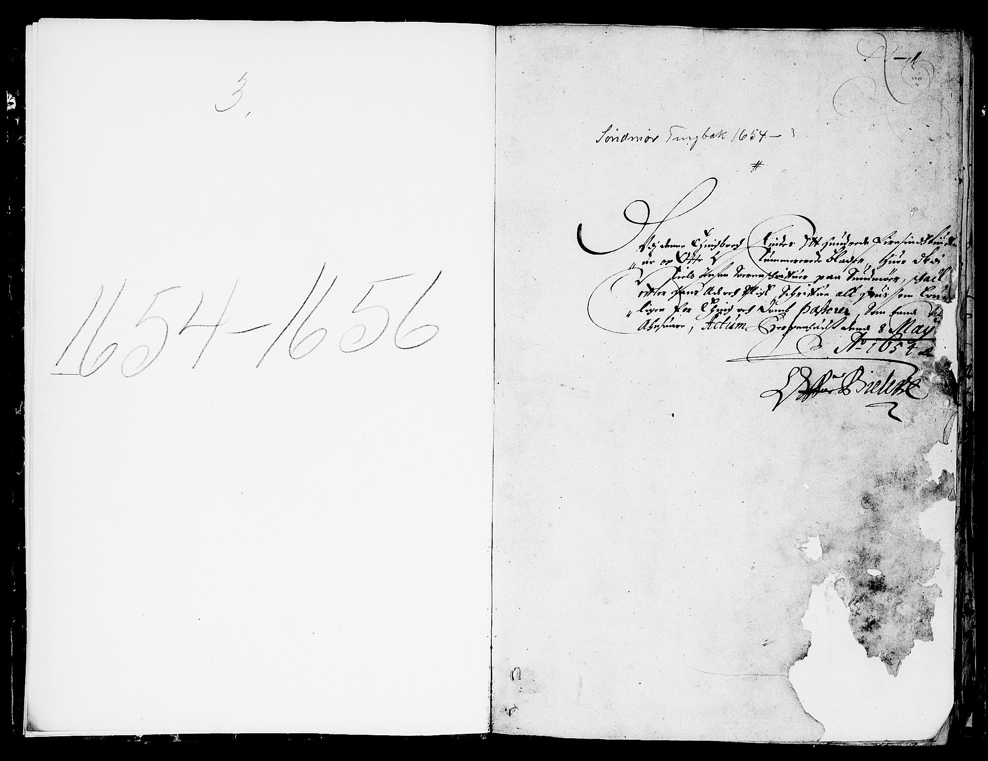 Sunnmøre sorenskriveri, AV/SAT-A-0005/1/1A/L0003: Tingbok 03, 1654-1656, s. 0b-1a
