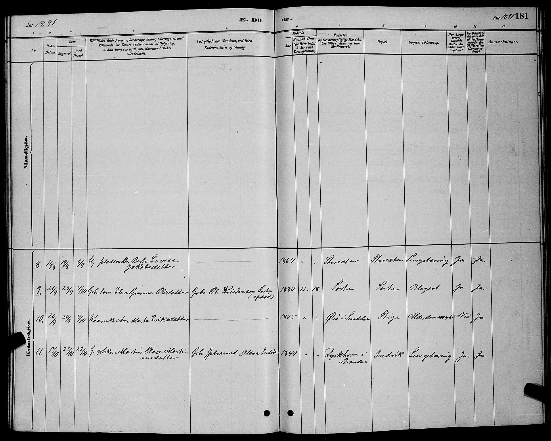 Ministerialprotokoller, klokkerbøker og fødselsregistre - Møre og Romsdal, AV/SAT-A-1454/524/L0365: Klokkerbok nr. 524C06, 1880-1899, s. 181