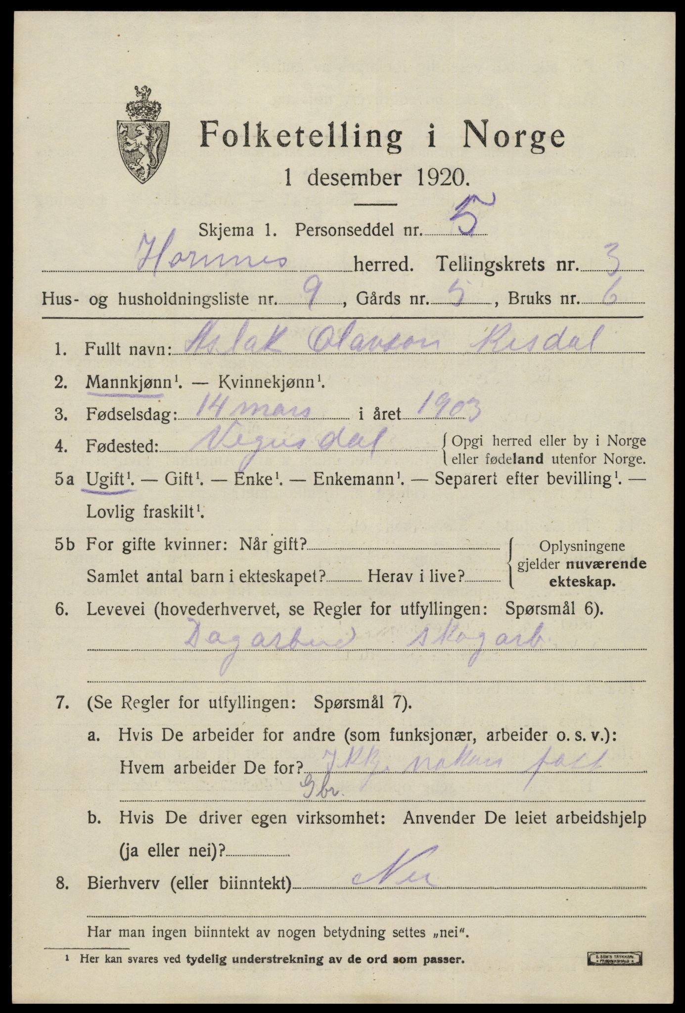 SAK, Folketelling 1920 for 0936 Hornnes herred, 1920, s. 903