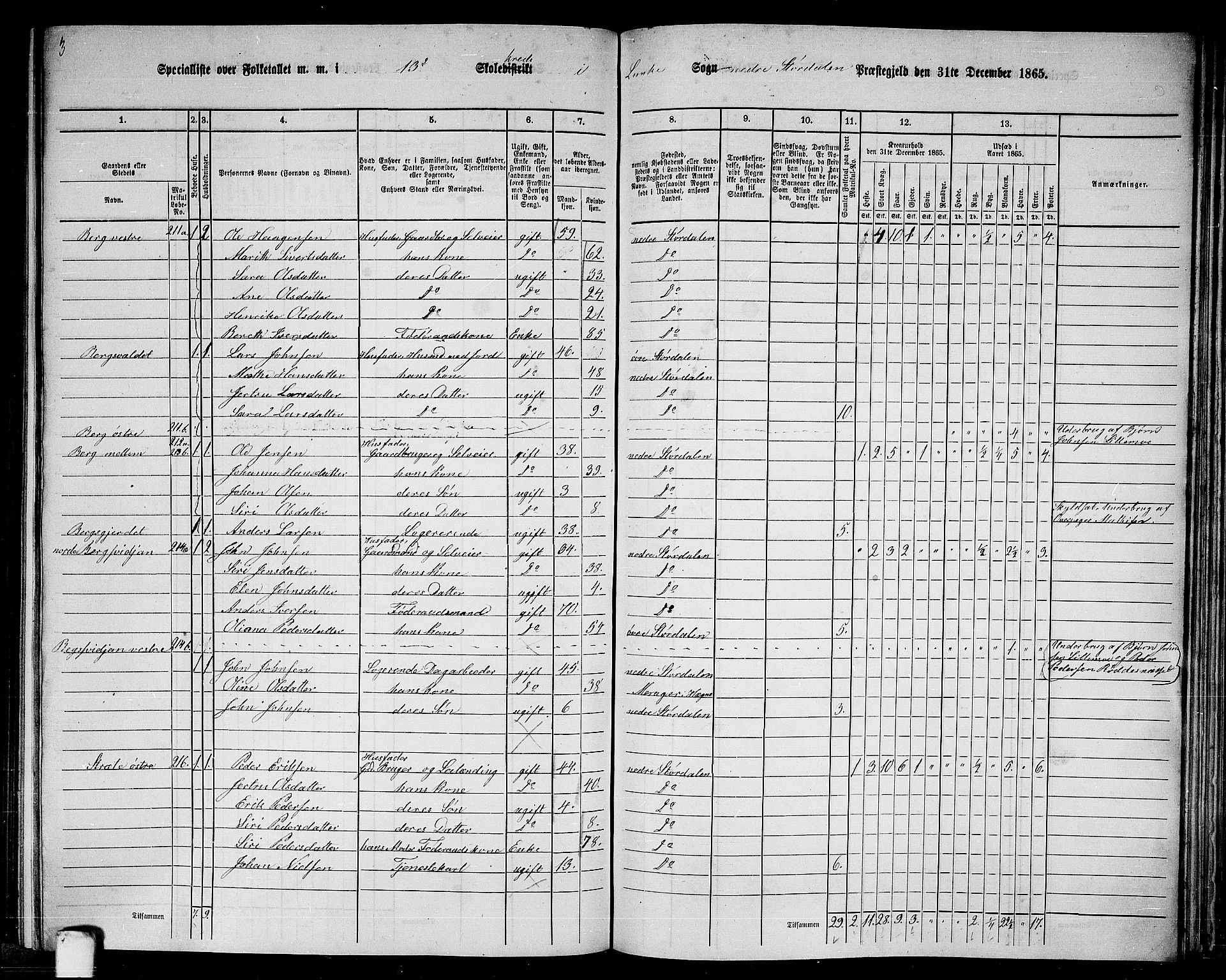 RA, Folketelling 1865 for 1714P Nedre Stjørdal prestegjeld, 1865, s. 239