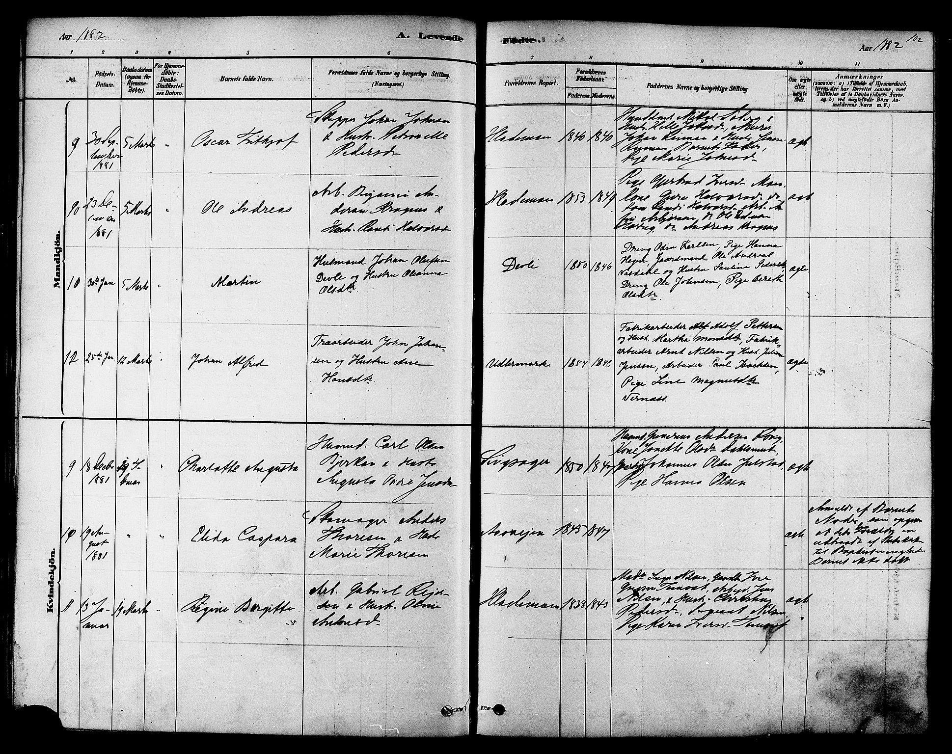 Ministerialprotokoller, klokkerbøker og fødselsregistre - Sør-Trøndelag, SAT/A-1456/606/L0294: Ministerialbok nr. 606A09, 1878-1886, s. 102