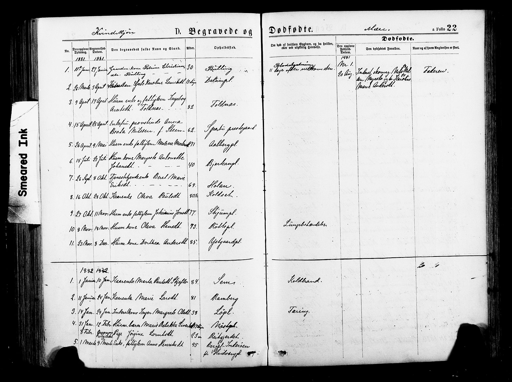Ministerialprotokoller, klokkerbøker og fødselsregistre - Nord-Trøndelag, SAT/A-1458/735/L0348: Ministerialbok nr. 735A09 /1, 1873-1883, s. 22