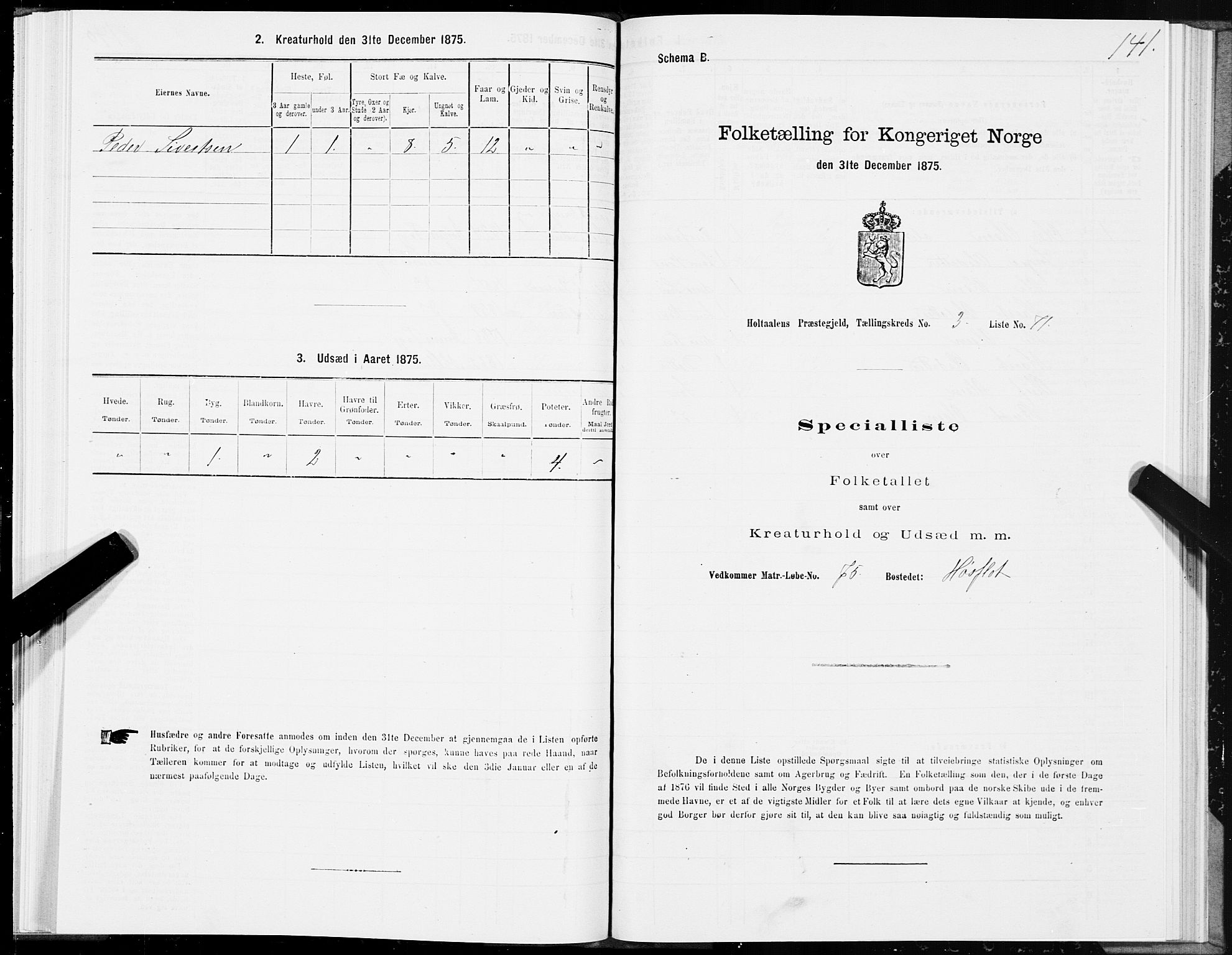 SAT, Folketelling 1875 for 1645P Haltdalen prestegjeld, 1875, s. 3141