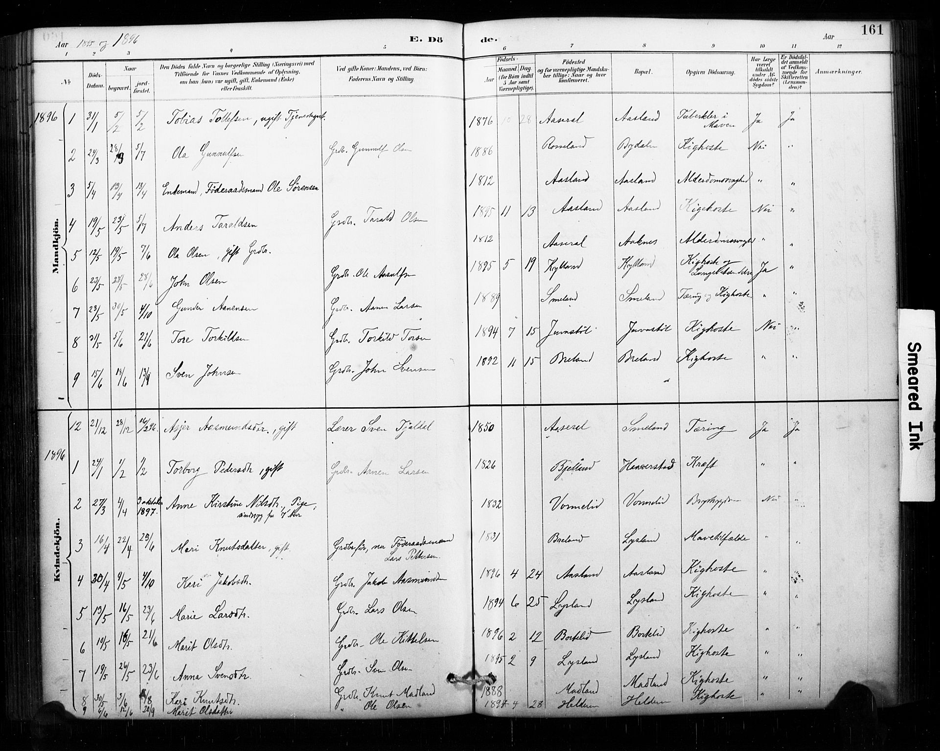 Åseral sokneprestkontor, AV/SAK-1111-0051/F/Fa/L0003: Ministerialbok nr. A 3, 1884-1901, s. 161
