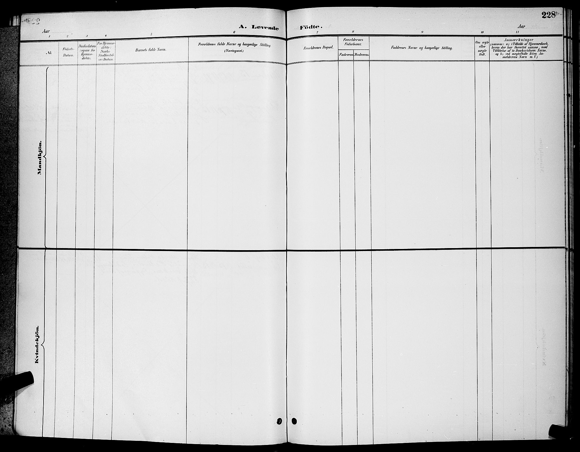 Paulus prestekontor Kirkebøker, SAO/A-10871/G/Ga/L0004: Klokkerbok nr. 4, 1895-1898, s. 228