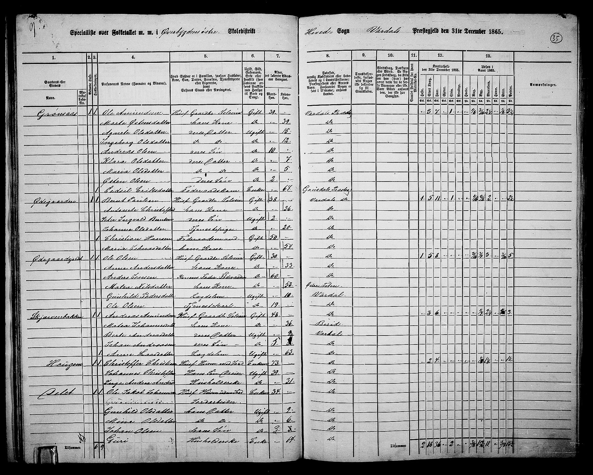 RA, Folketelling 1865 for 0527L Vardal prestegjeld, Vardal sokn og Hunn sokn, 1865, s. 31