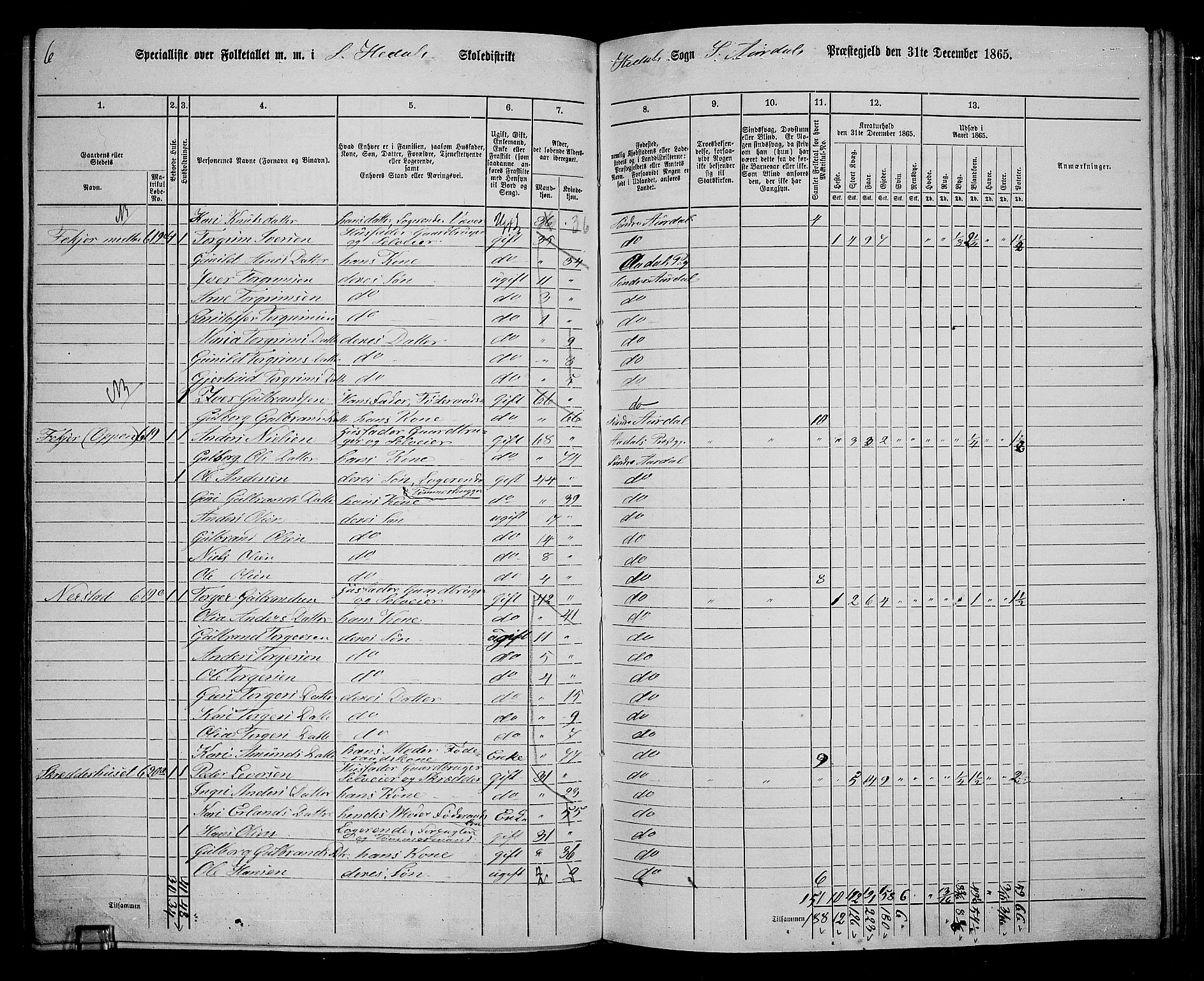 RA, Folketelling 1865 for 0540P Sør-Aurdal prestegjeld, 1865, s. 173