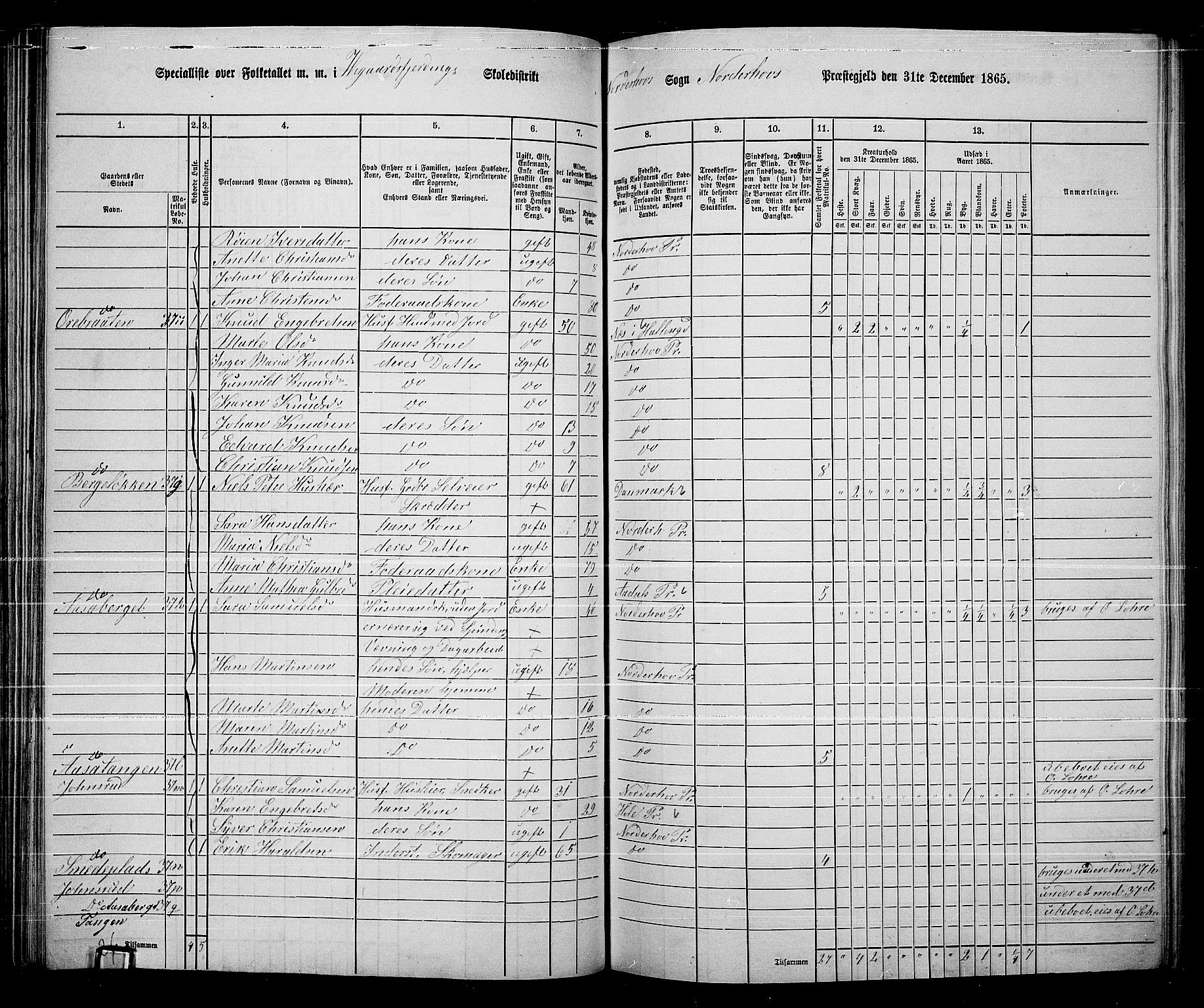 RA, Folketelling 1865 for 0613L Norderhov prestegjeld, Norderhov sokn, Haug sokn og Lunder sokn, 1865, s. 123