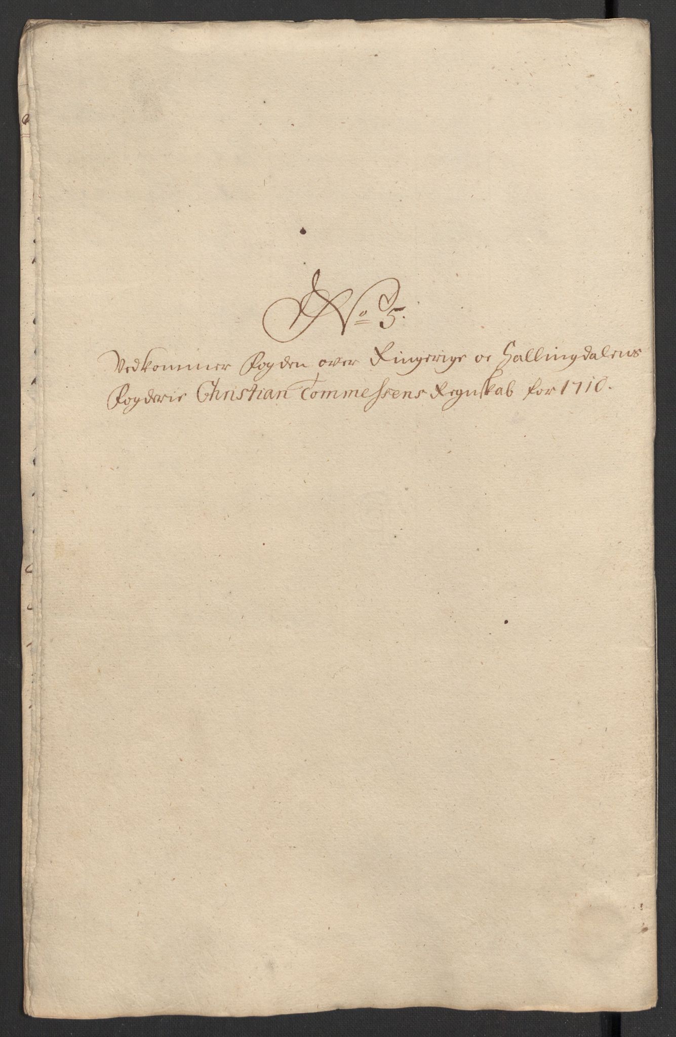 Rentekammeret inntil 1814, Reviderte regnskaper, Fogderegnskap, RA/EA-4092/R23/L1468: Fogderegnskap Ringerike og Hallingdal, 1709-1710, s. 395