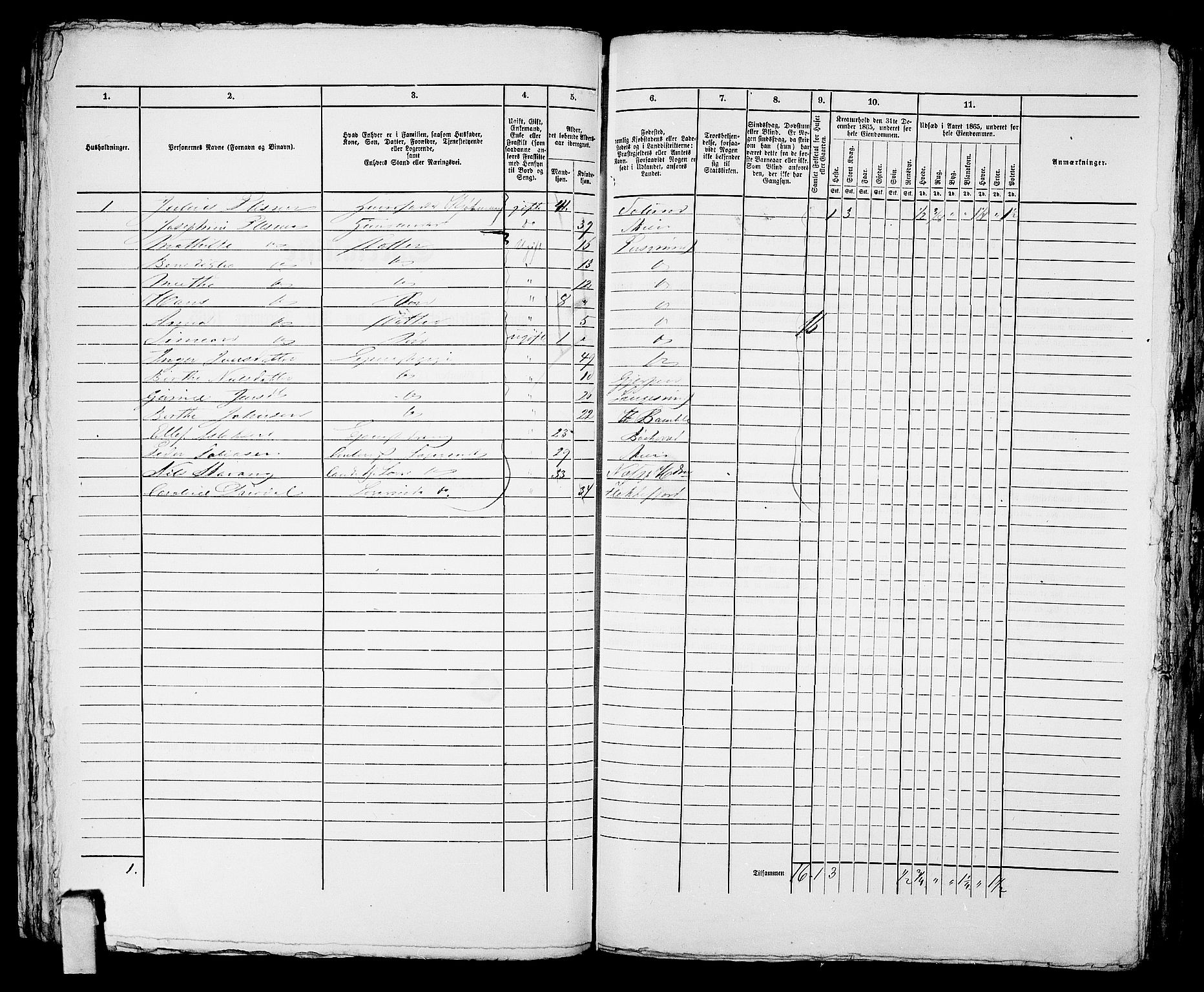 RA, Folketelling 1865 for 0805P Porsgrunn prestegjeld, 1865, s. 613