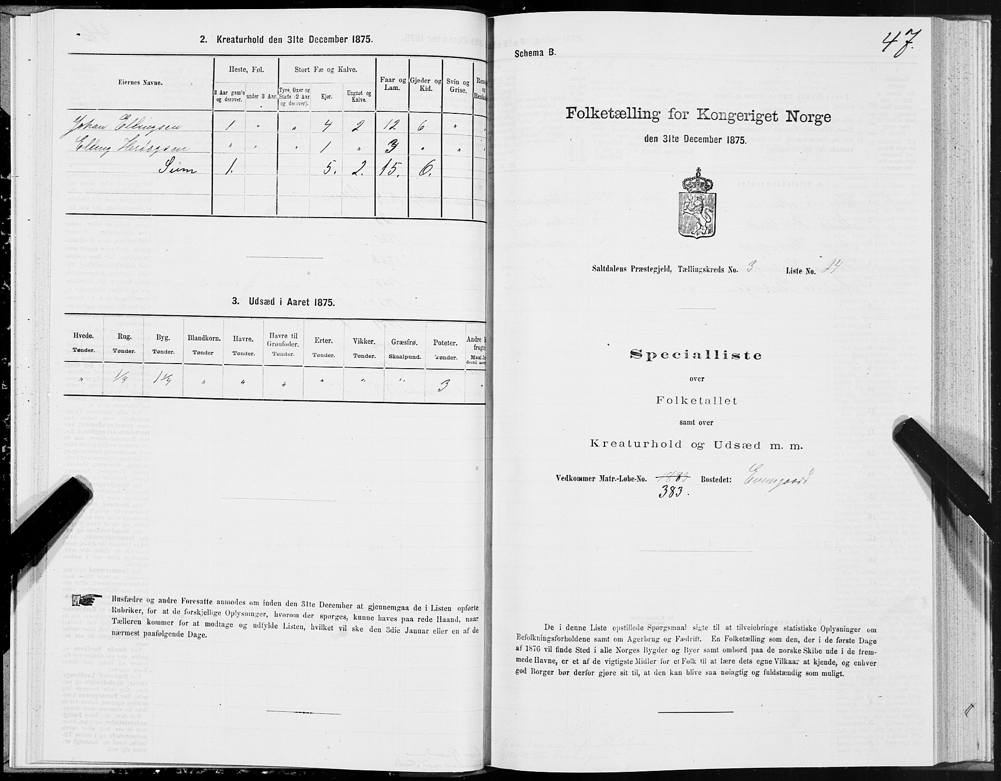 SAT, Folketelling 1875 for 1840P Saltdal prestegjeld, 1875, s. 2047