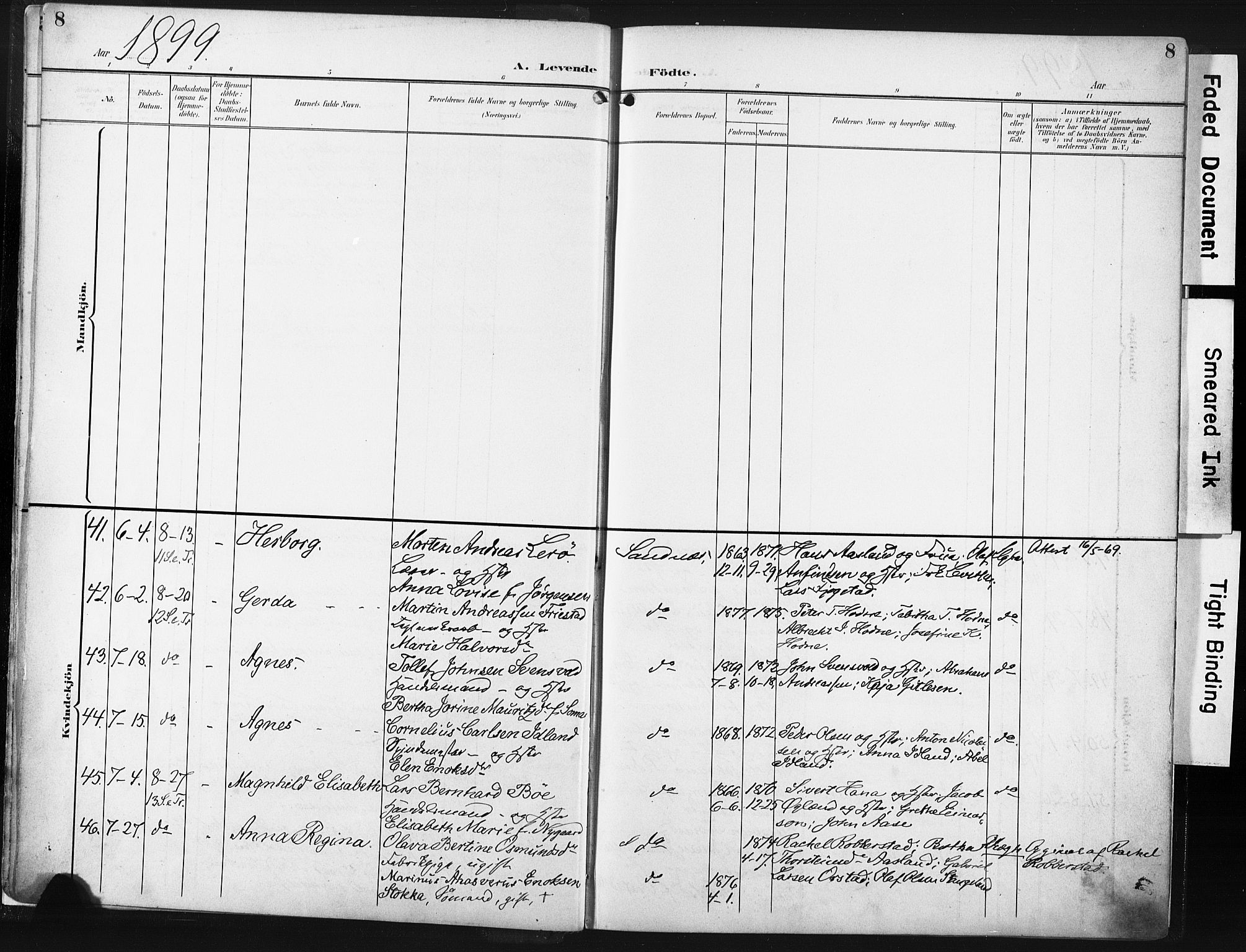 Høyland sokneprestkontor, AV/SAST-A-101799/001/30BA/L0016: Ministerialbok nr. A 16, 1899-1911, s. 8
