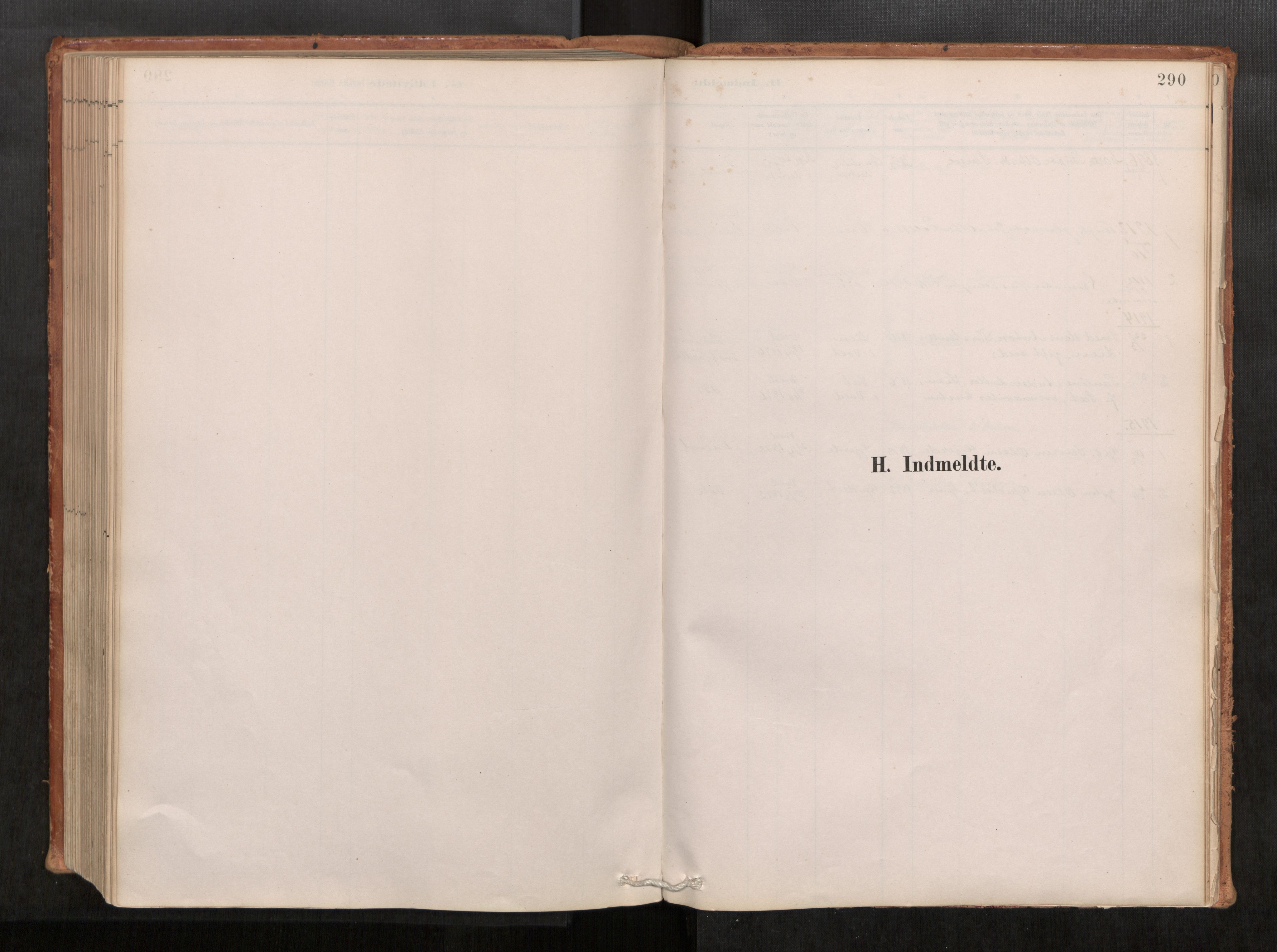 Ministerialprotokoller, klokkerbøker og fødselsregistre - Møre og Romsdal, AV/SAT-A-1454/543/L0568: Ministerialbok nr. 543A03, 1885-1915, s. 290