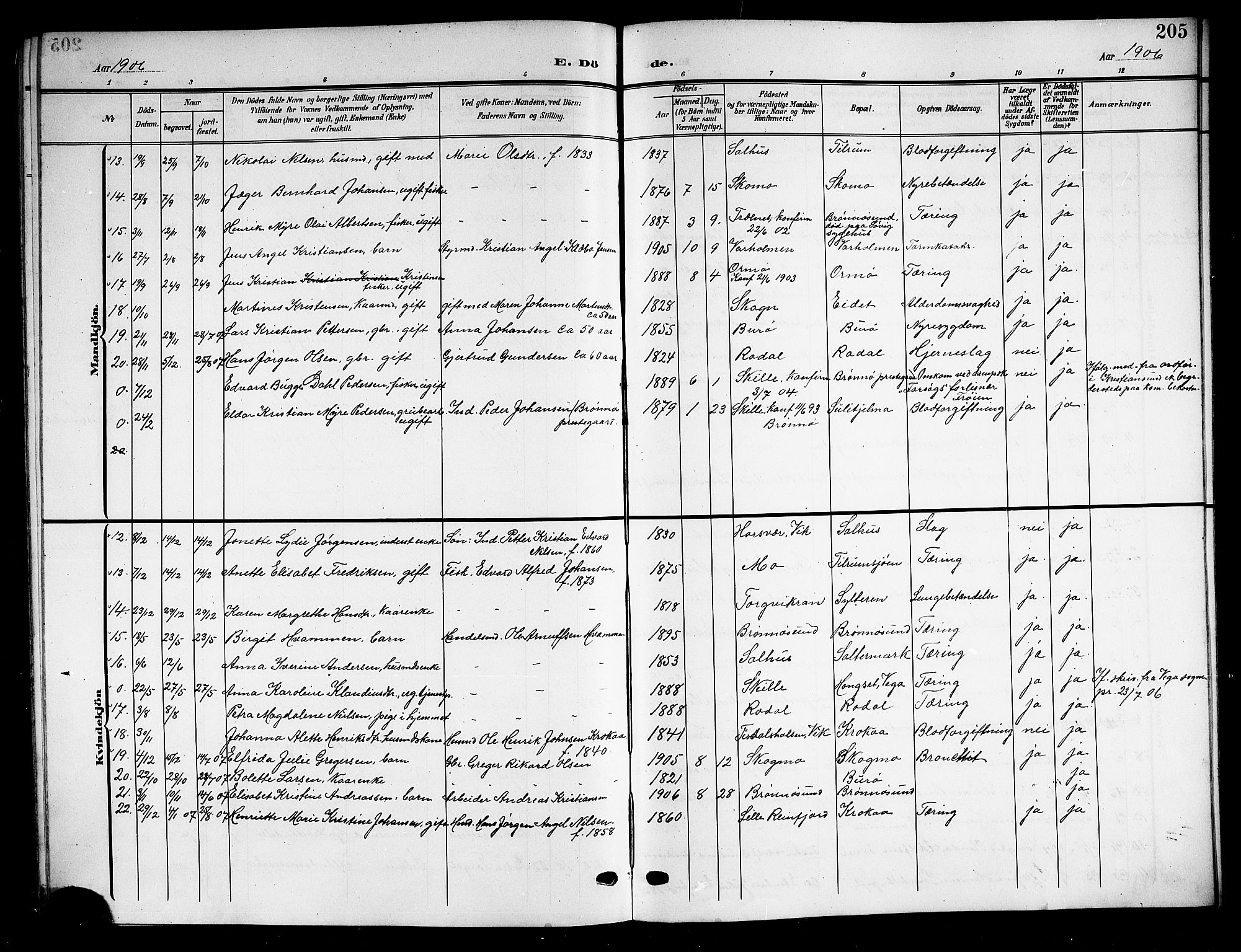 Ministerialprotokoller, klokkerbøker og fødselsregistre - Nordland, SAT/A-1459/813/L0214: Klokkerbok nr. 813C06, 1904-1917, s. 205