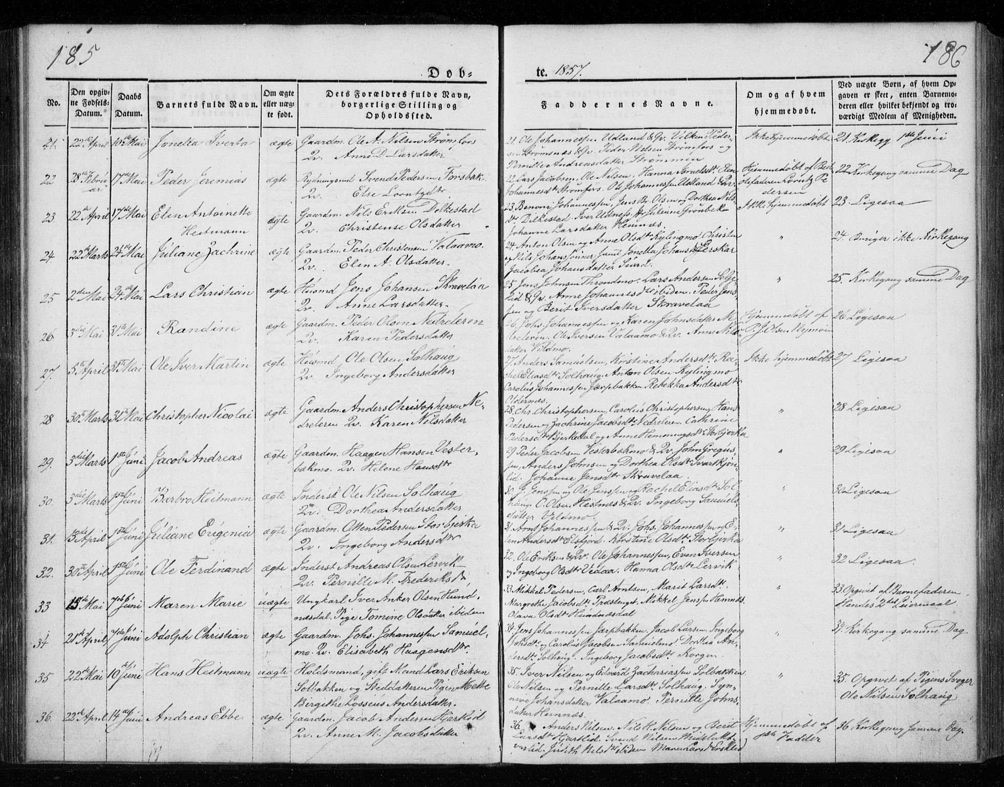 Ministerialprotokoller, klokkerbøker og fødselsregistre - Nordland, AV/SAT-A-1459/825/L0355: Ministerialbok nr. 825A09, 1842-1863, s. 185-186