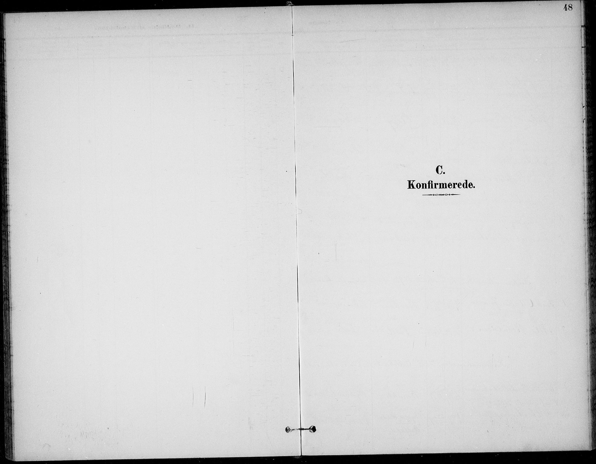 Solum kirkebøker, AV/SAKO-A-306/F/Fc/L0002: Ministerialbok nr. III 2, 1892-1906, s. 48