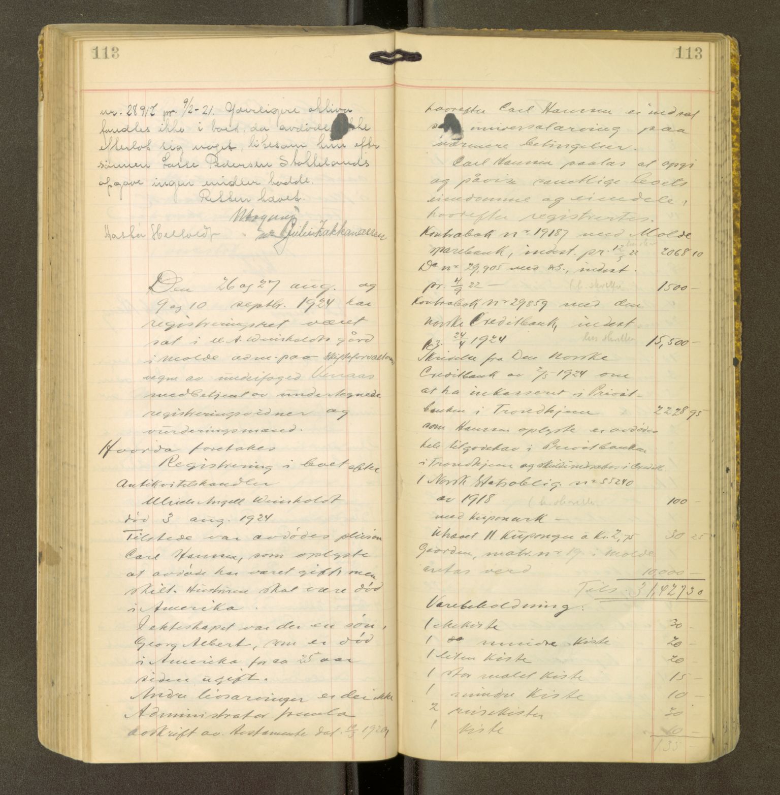 Romsdal sorenskriveri, AV/SAT-A-4149/1/3/3Ca/L0001: Registreringsprotokoll, 1921-1926, s. 113