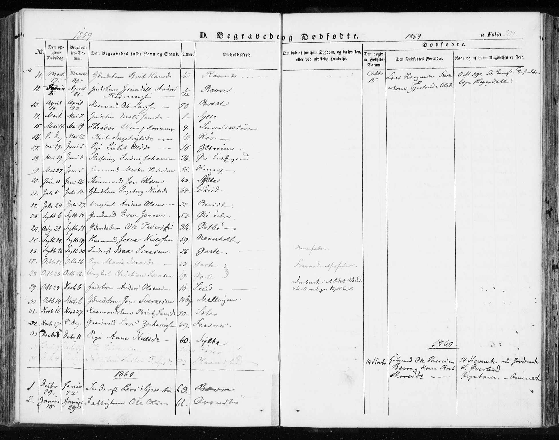 Ministerialprotokoller, klokkerbøker og fødselsregistre - Møre og Romsdal, AV/SAT-A-1454/595/L1044: Ministerialbok nr. 595A06, 1852-1863, s. 209