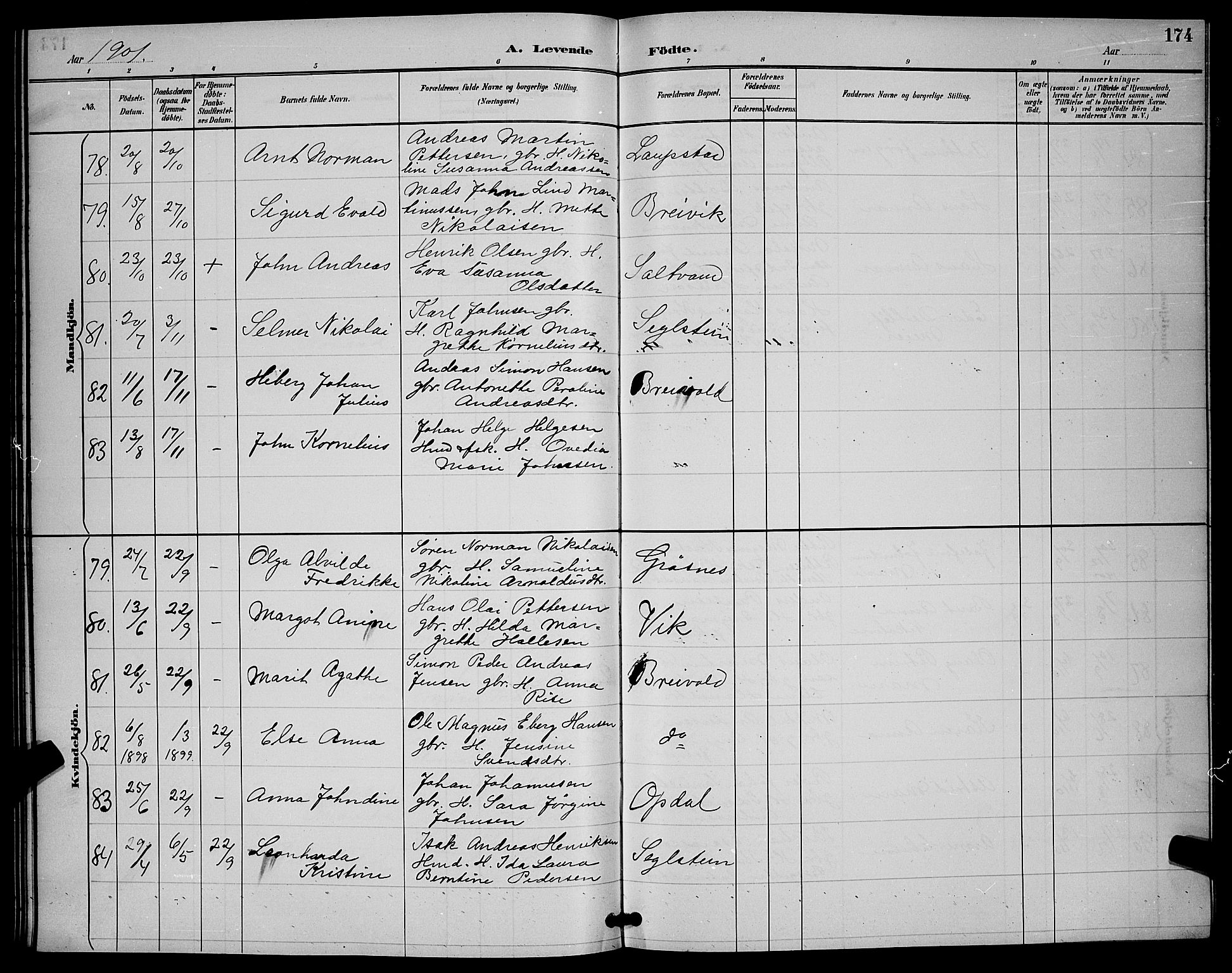 Ibestad sokneprestembete, AV/SATØ-S-0077/H/Ha/Hab/L0008klokker: Klokkerbok nr. 8, 1890-1903, s. 174