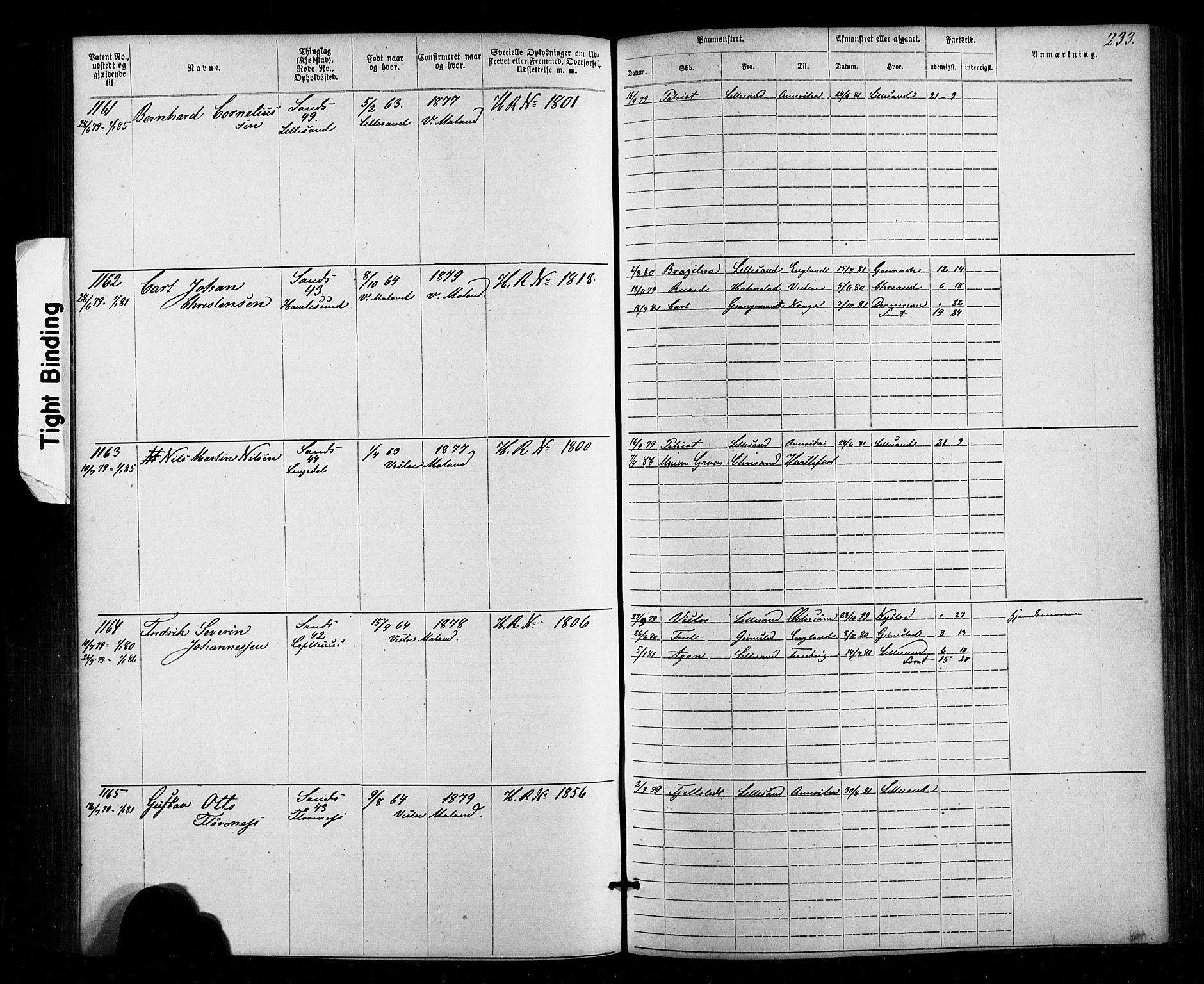Lillesand mønstringskrets, SAK/2031-0014/F/Fa/L0002: Annotasjonsrulle nr 1-1910 med register, W-8, 1868-1891, s. 239