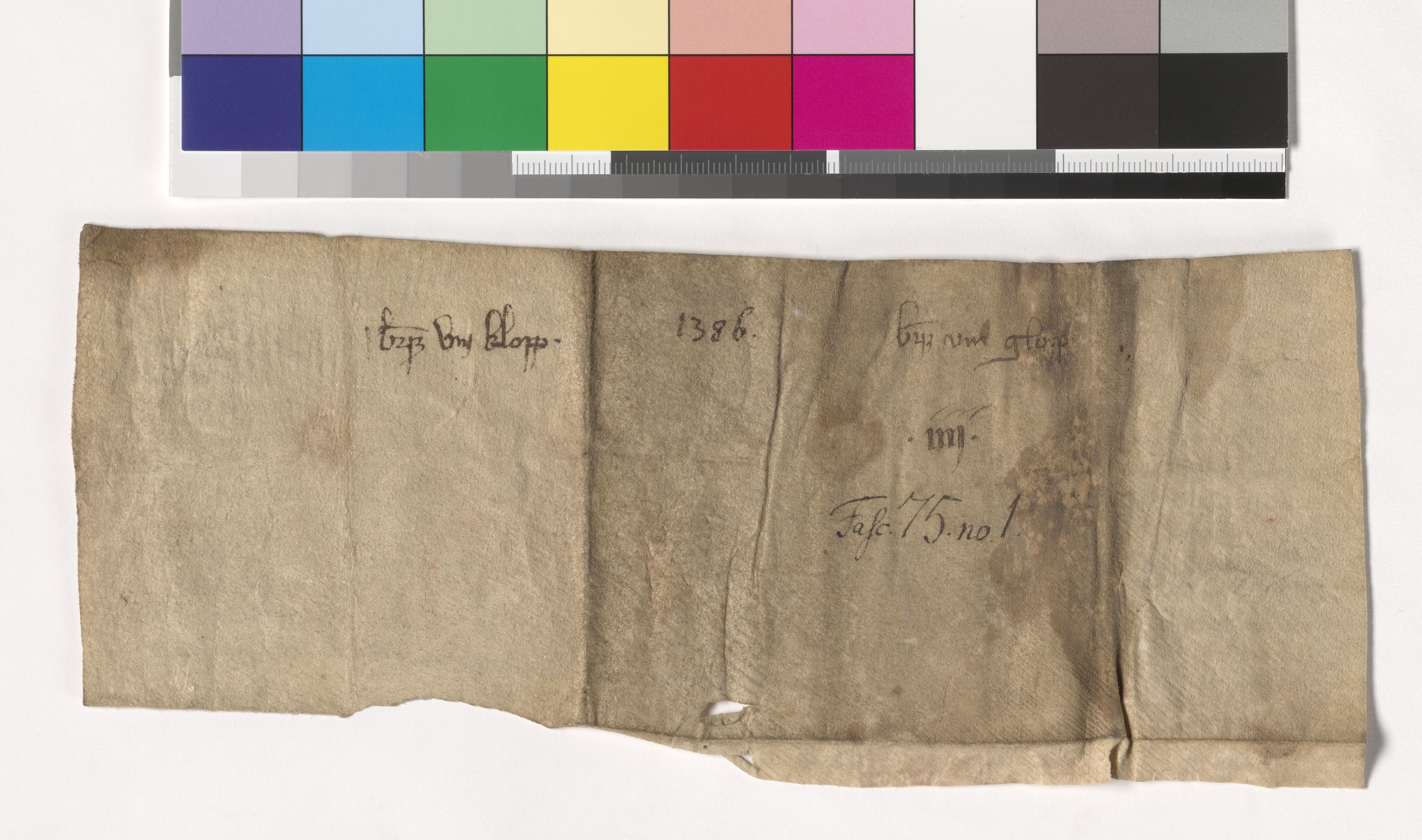 Riksarkivets diplomsamling, AV/RA-EA-5965/F05/L0184: NRA AM fasc. 74 nr. 26 - fasc. 75 nr. 2, 1385-1386, s. 12