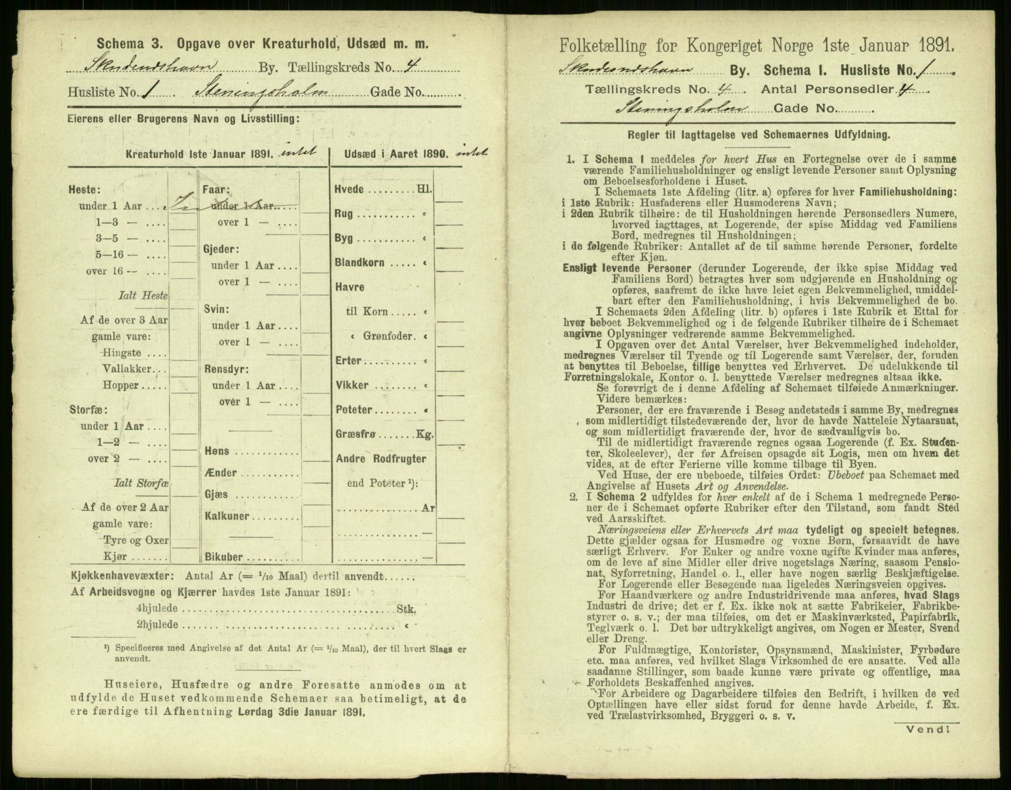 RA, Folketelling 1891 for 1104 Skudeneshavn ladested, 1891, s. 296