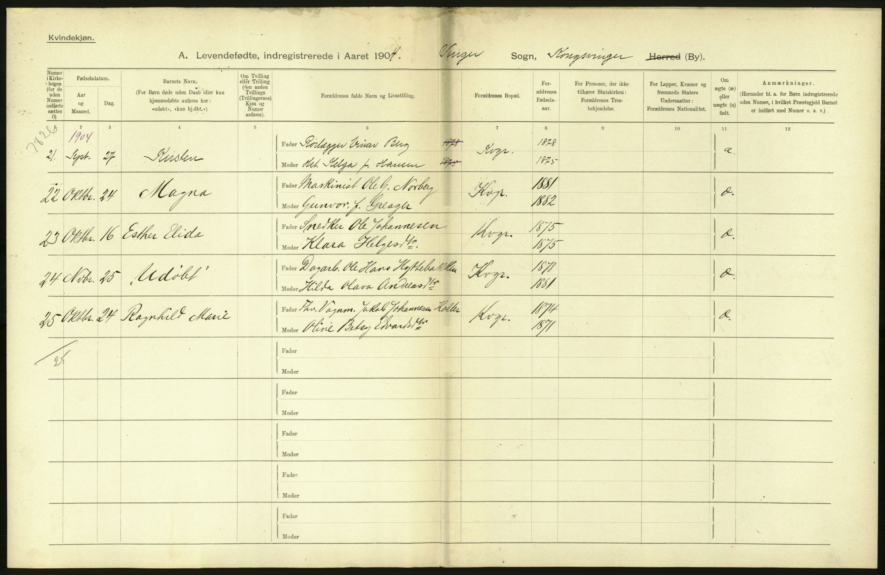 Statistisk sentralbyrå, Sosiodemografiske emner, Befolkning, AV/RA-S-2228/D/Df/Dfa/Dfab/L0005: Hedemarkens amt: Fødte, gifte, døde, 1904, s. 8