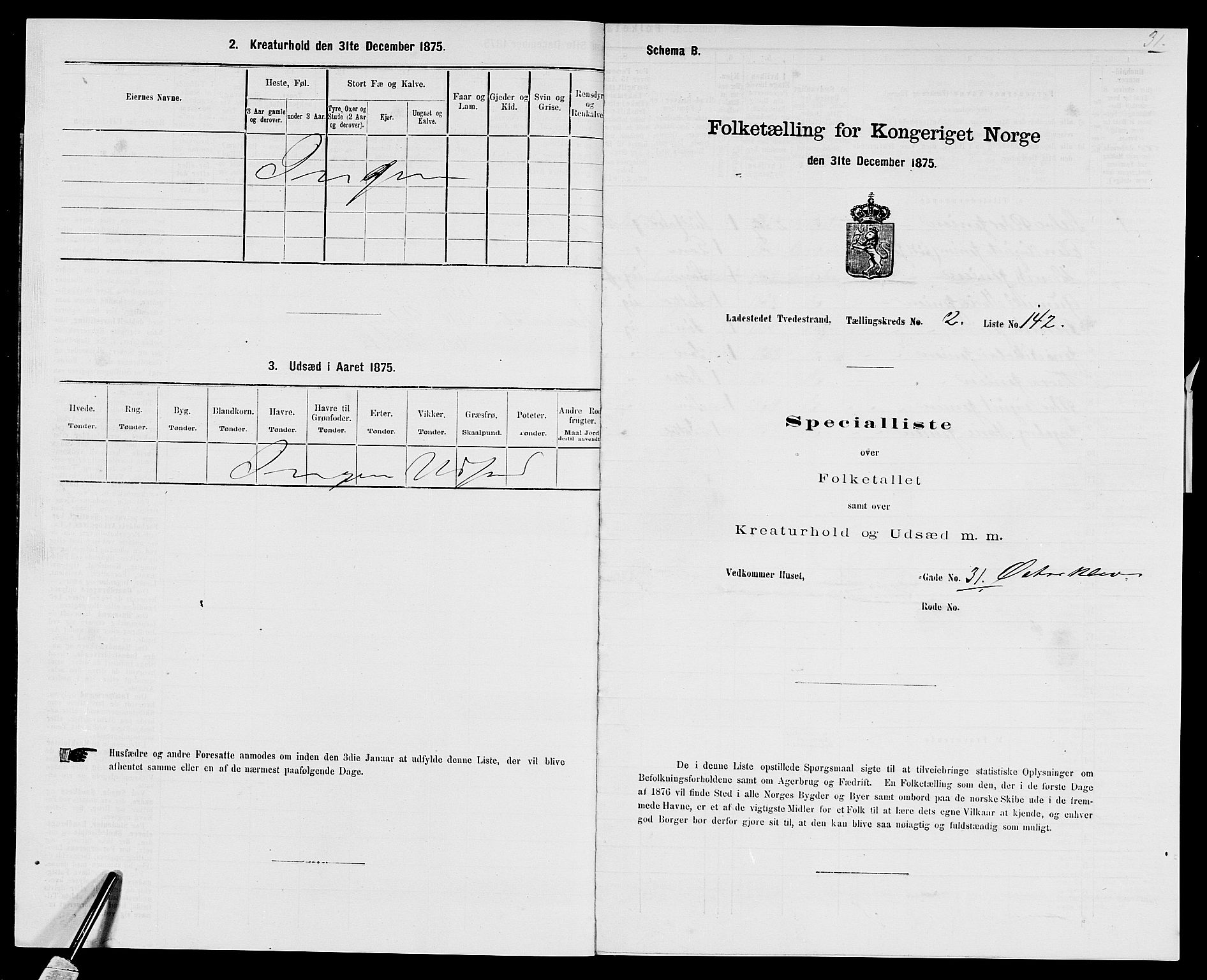 SAK, Folketelling 1875 for 0902B Holt prestegjeld, Tvedestrand ladested, 1875, s. 305